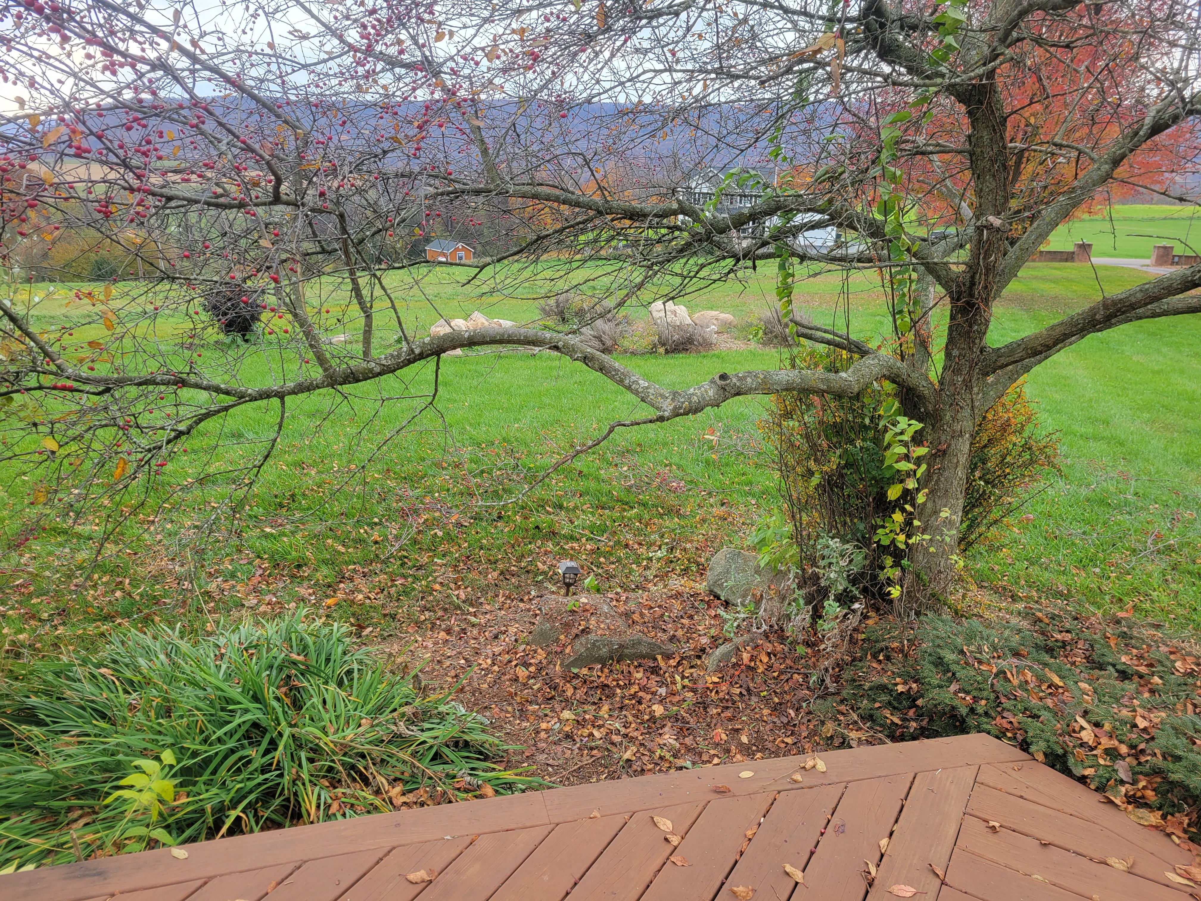  for Down Home Landscaping in Stillwater, PA