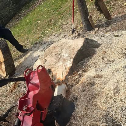  for Lopez Landscaping and Tree Service  in Waynesville, NC