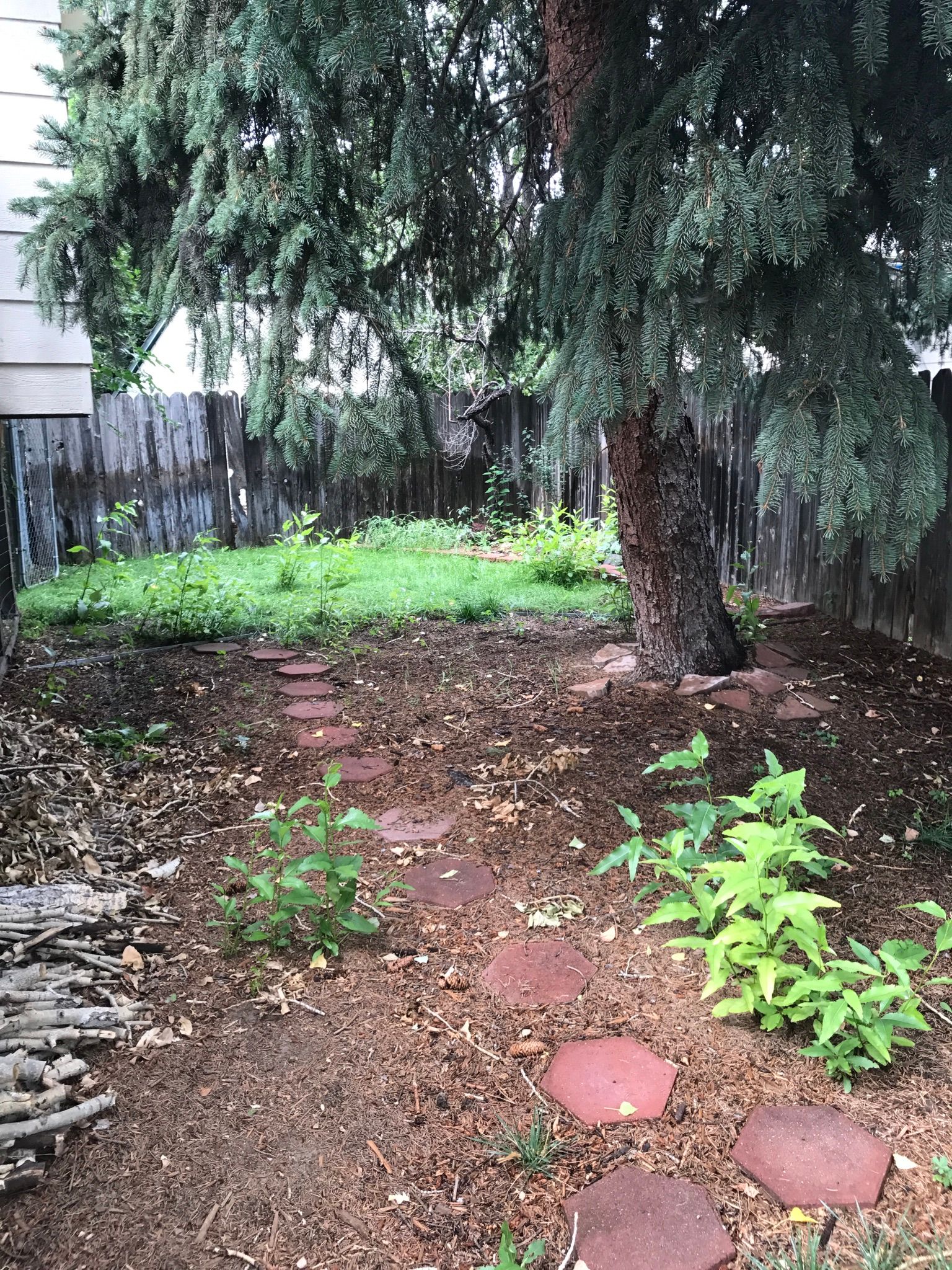  for Rock Masters Inc. in Evans, CO