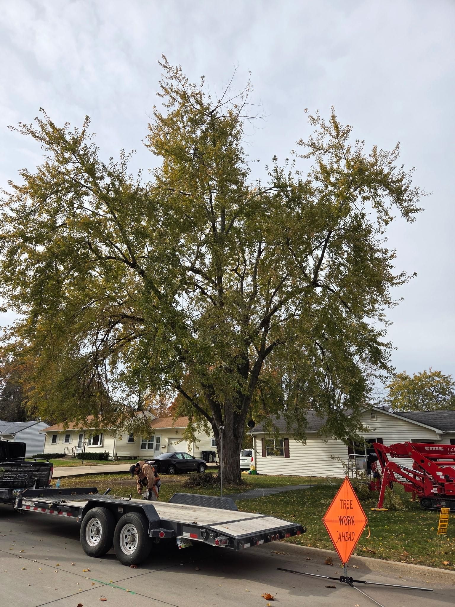  for Lawn Ranger Yard And Tree Service LLC in Ottumwa, IA