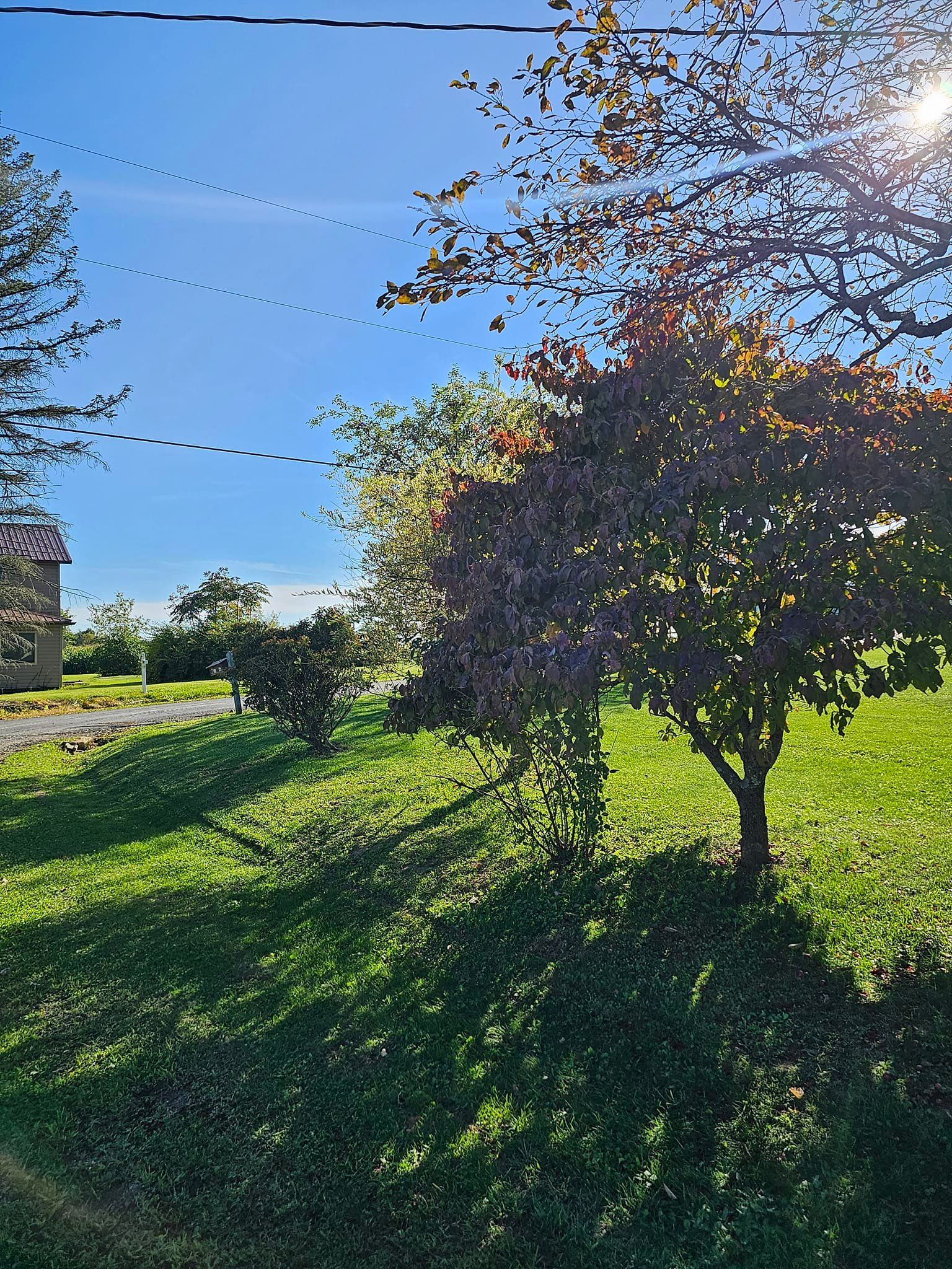  for Tri County Enterprises in Benton, PA