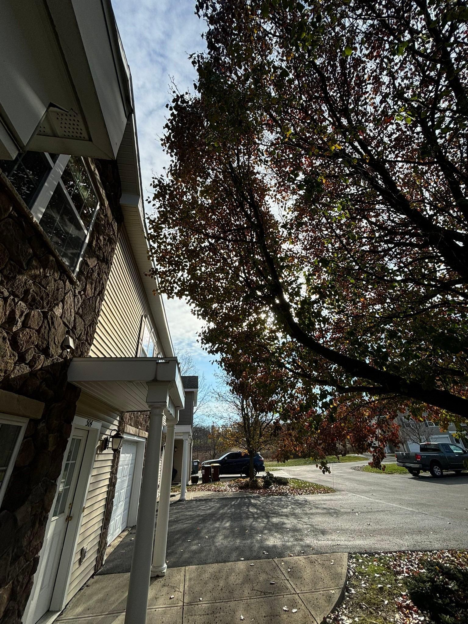  for T's Trees in Albany, NY