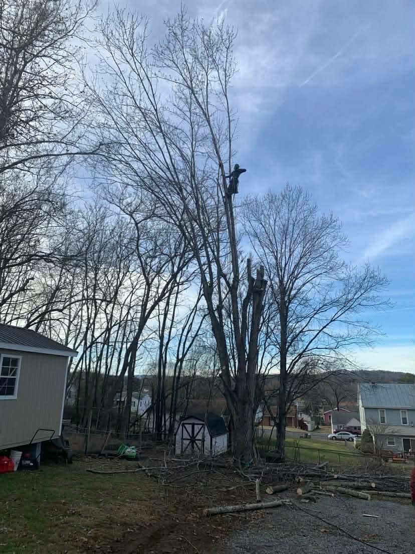 All Photos for VA Landgrowth LLC in Lexington, VA