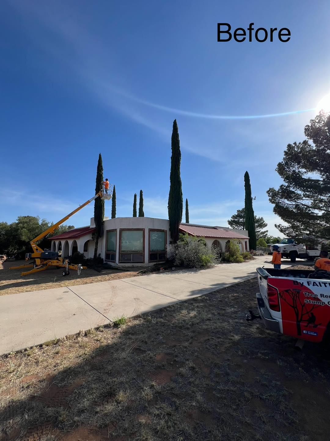 Stump Removal for By Faith Landscaping in Sierra Vista, AZ