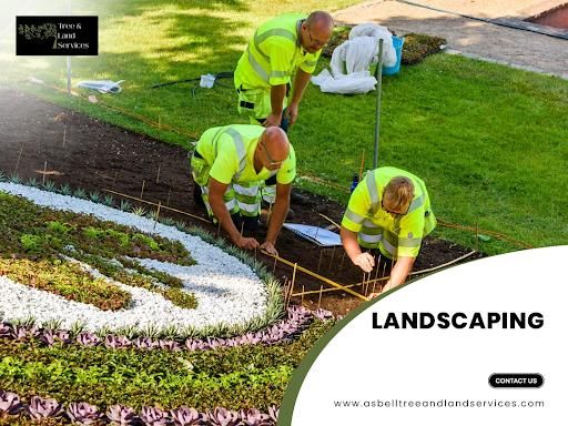 All Photos for Asbell's Tree & Land Services in Gilchrist County, FL