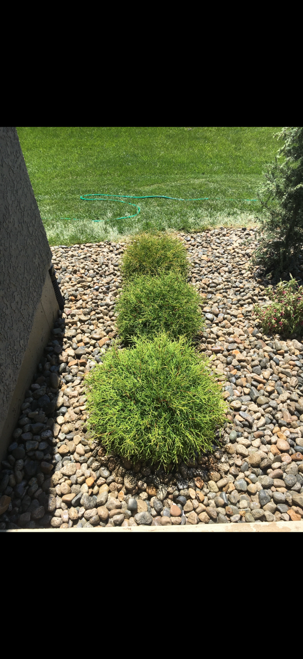 All Photos for Chief Lawn Care in Lee's Summit, MO