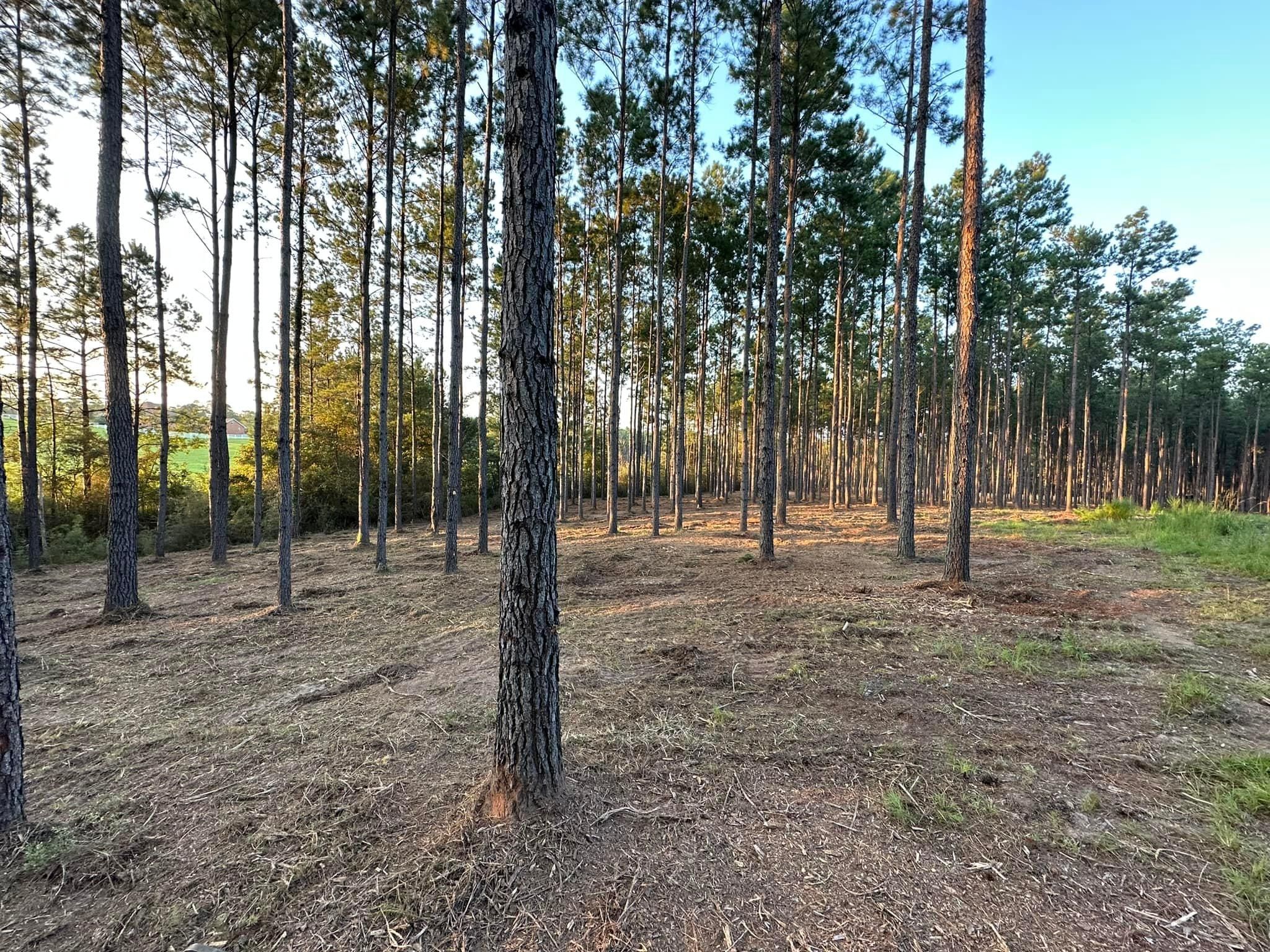 All Photos for White’s Land Maintenance in Milton,, FL