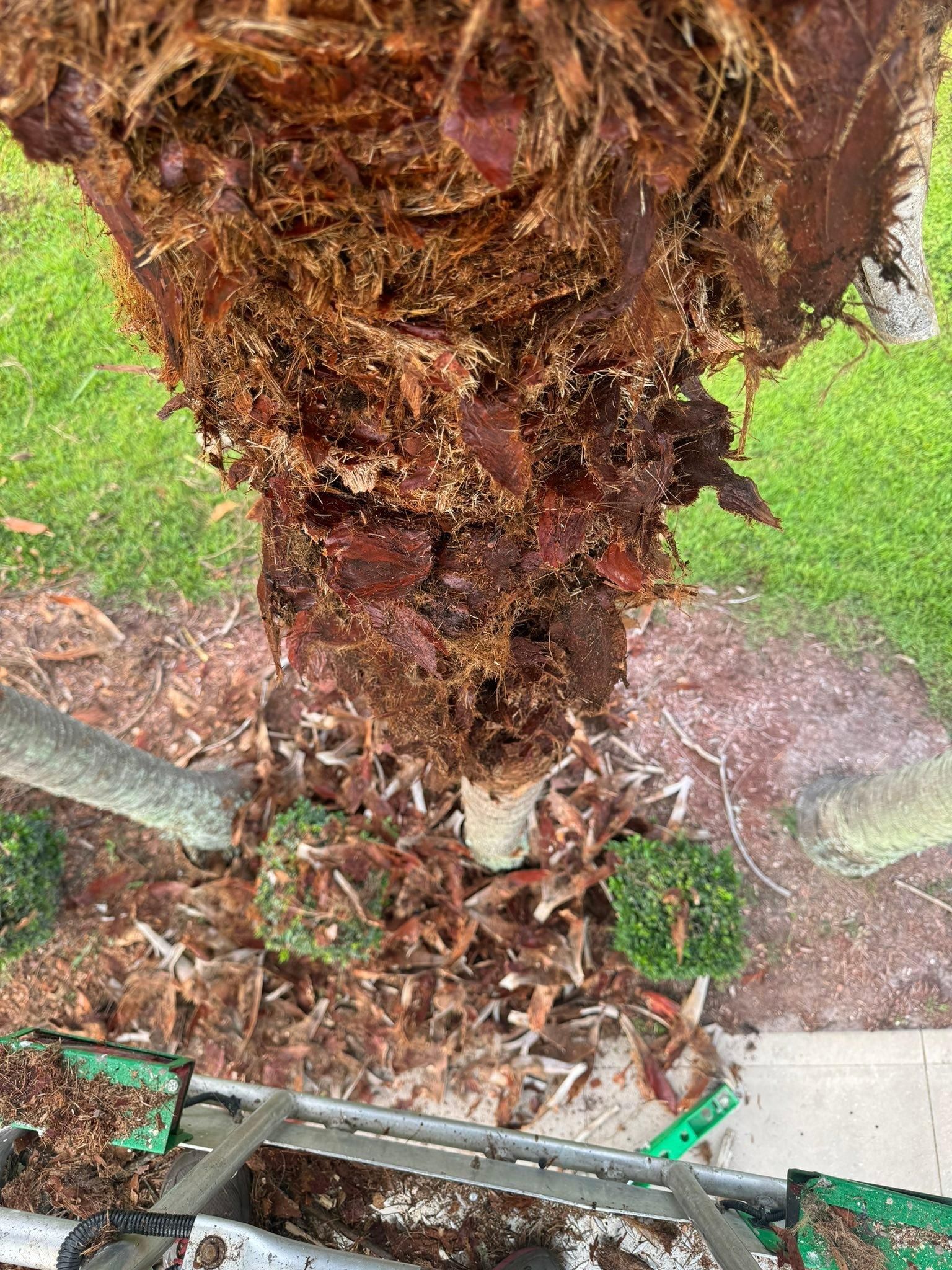 All Photos for Jacksonville Outdoors in Jacksonville, FL