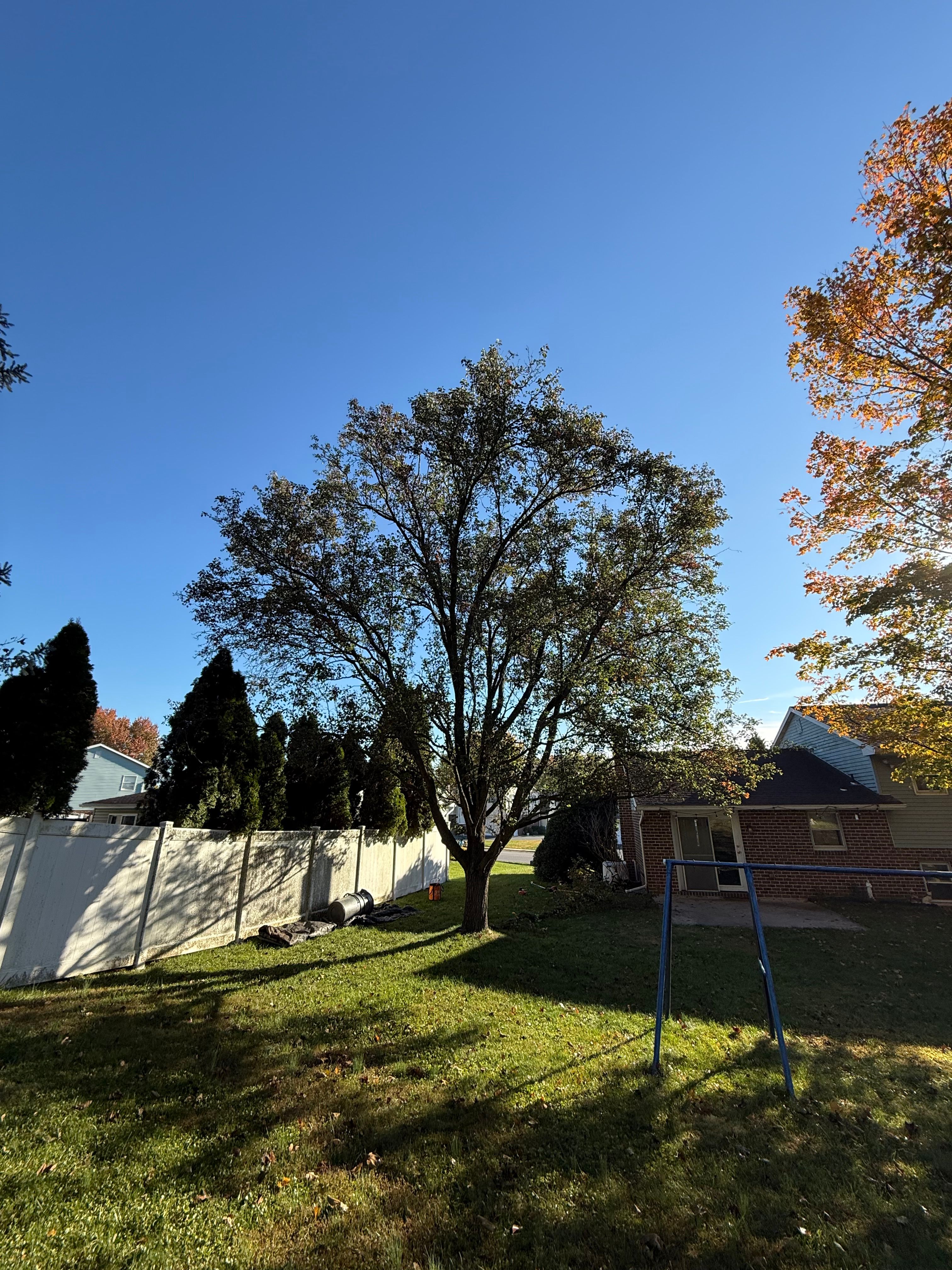  for Wiley Landscape Design in York, PA