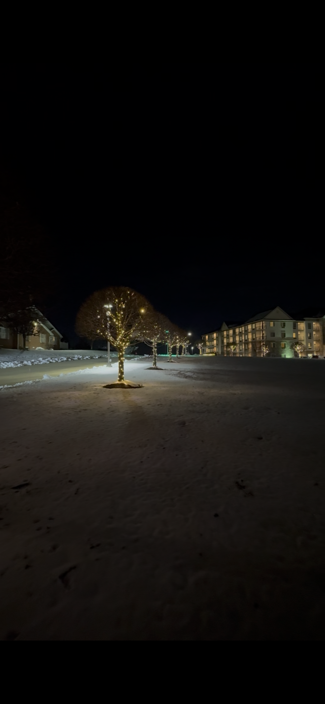  for Buckeye Lawns & Landscaping LLC in Millersburg, OH