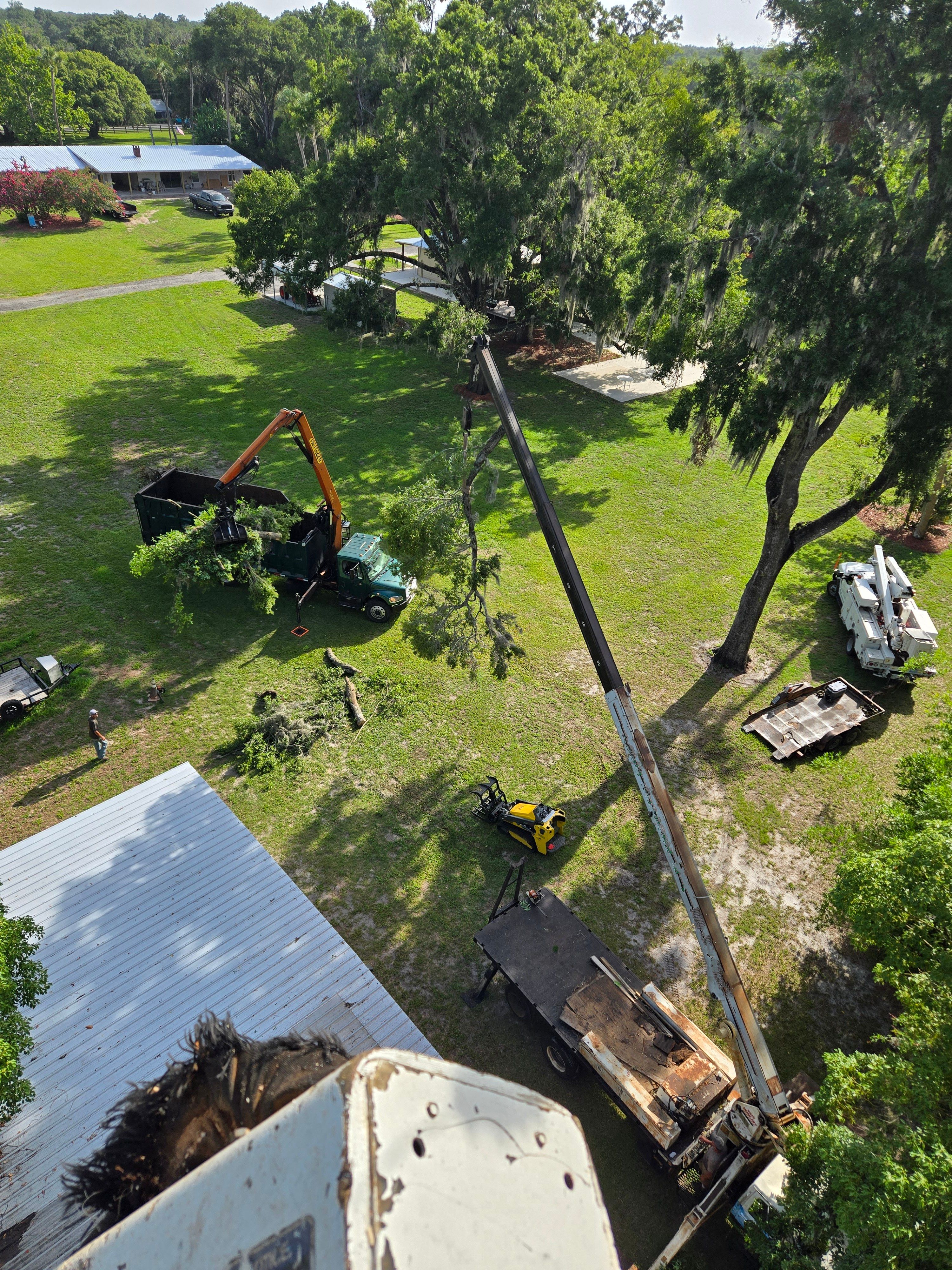 All Photos for Near Me Tree Service, Inc. in DeLand, FL