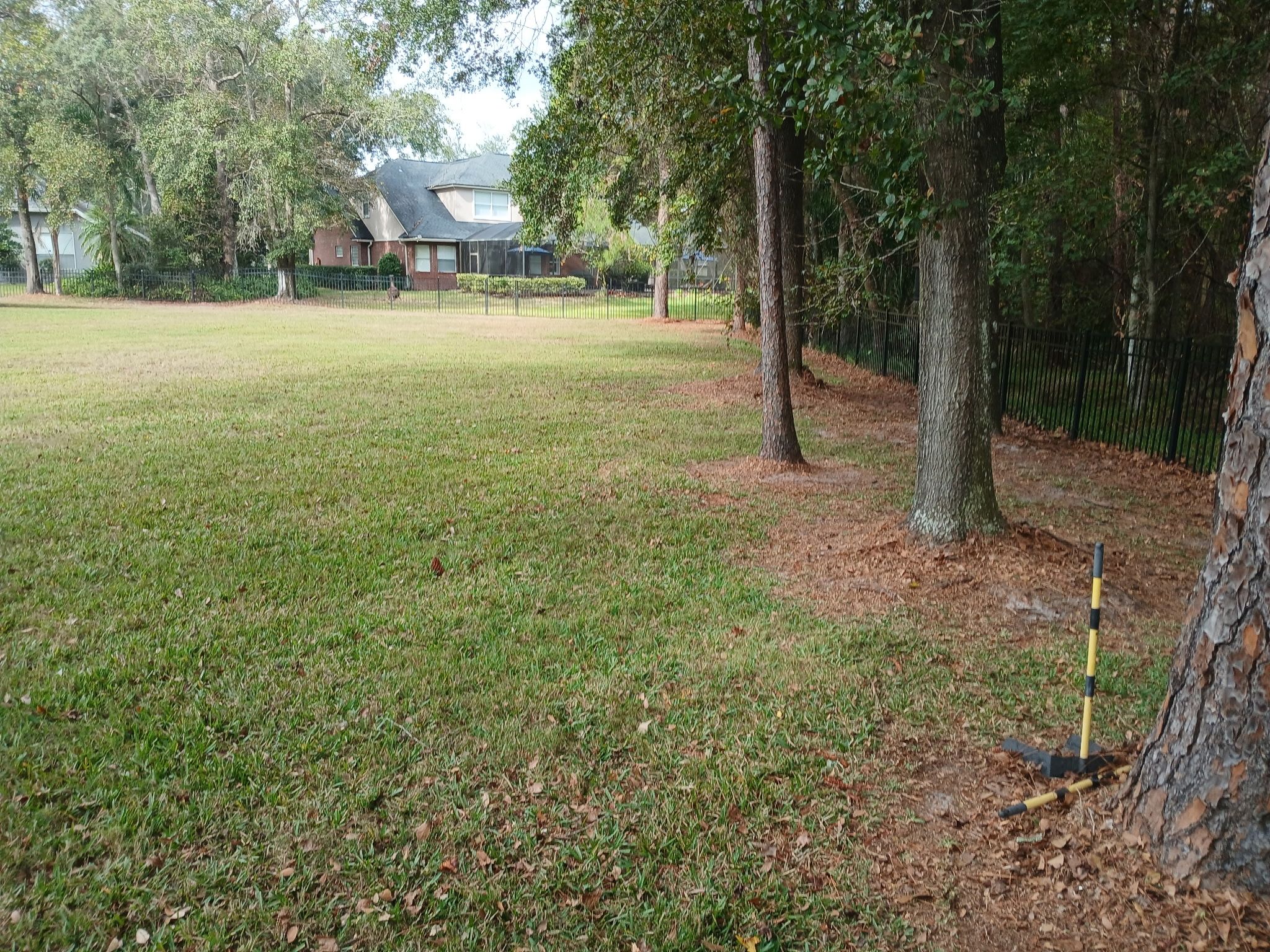  for Whole 9 Yards Services in Green Cove Springs, FL