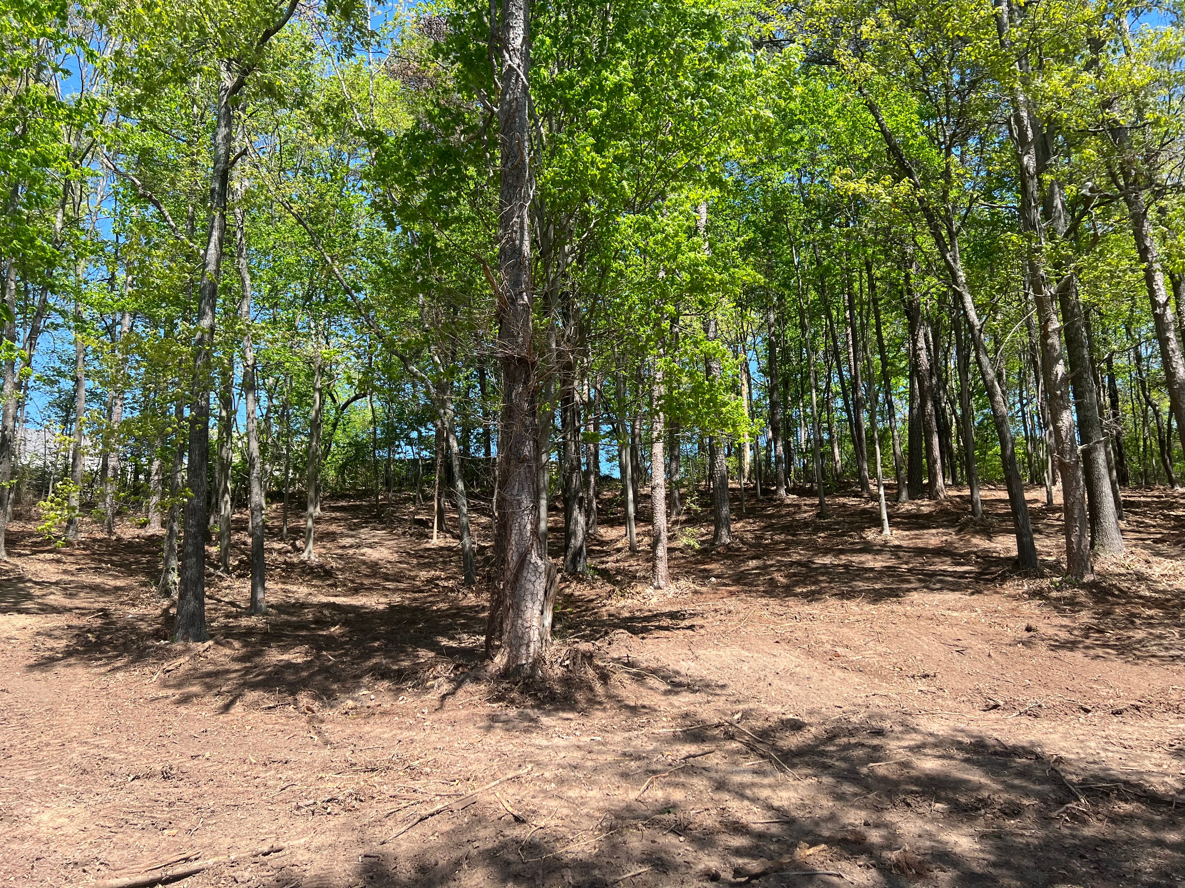 All Photos for F&CO Excavation in Clinton, TN