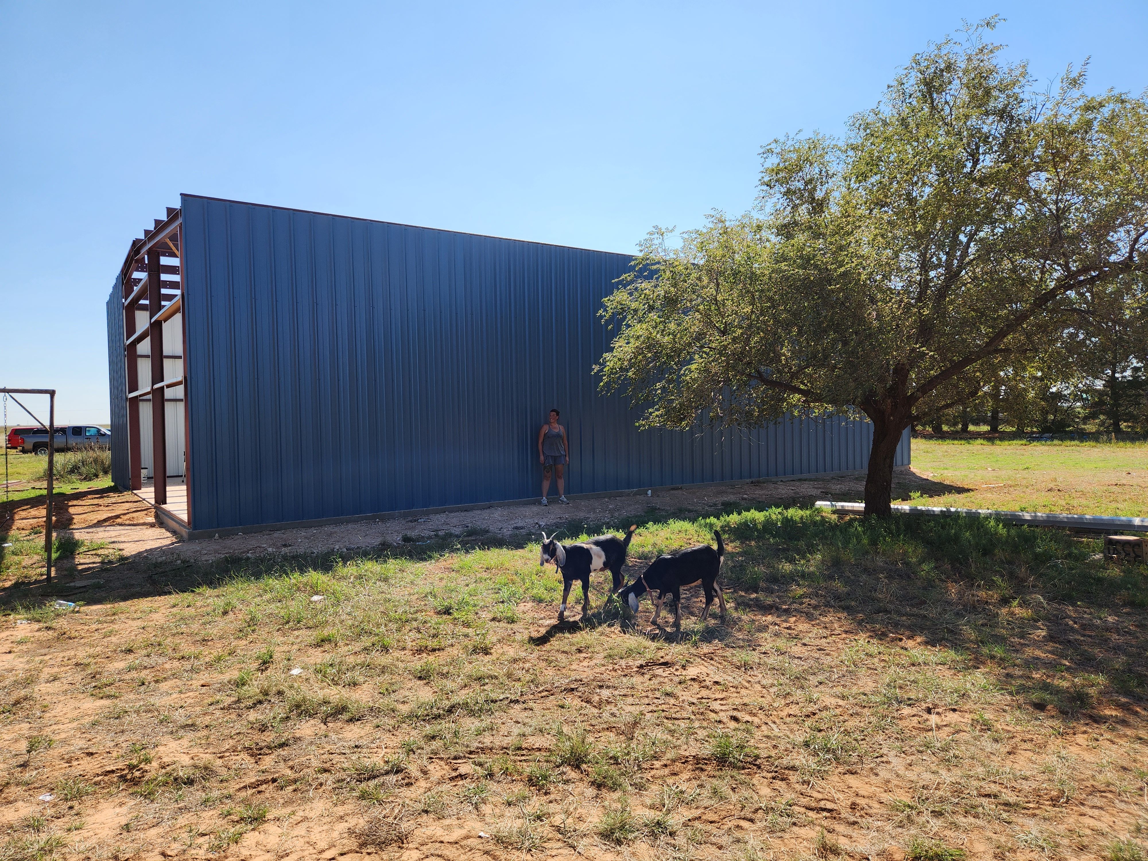Barndo for Prairie Land Properties LLC in Lubbock, TX