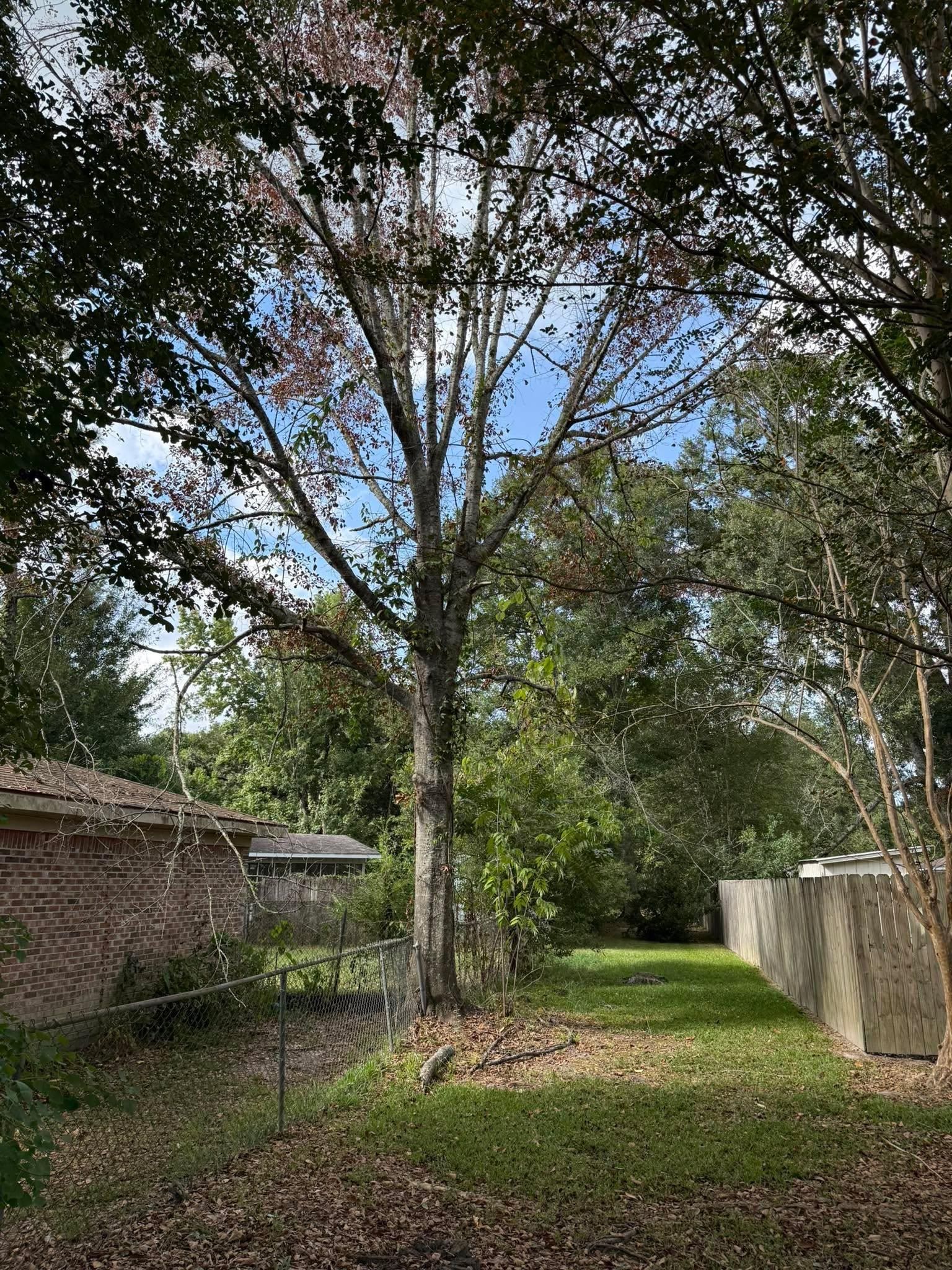  for Southern Venom Services in Daphne, AL