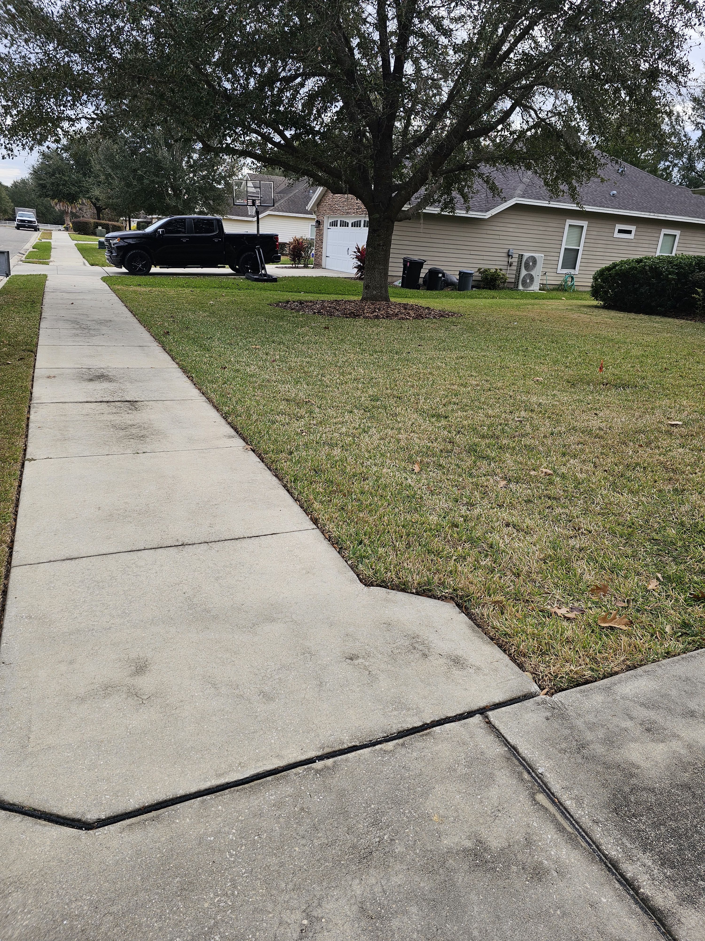  for Deeper Roots Landscape in High Springs, FL