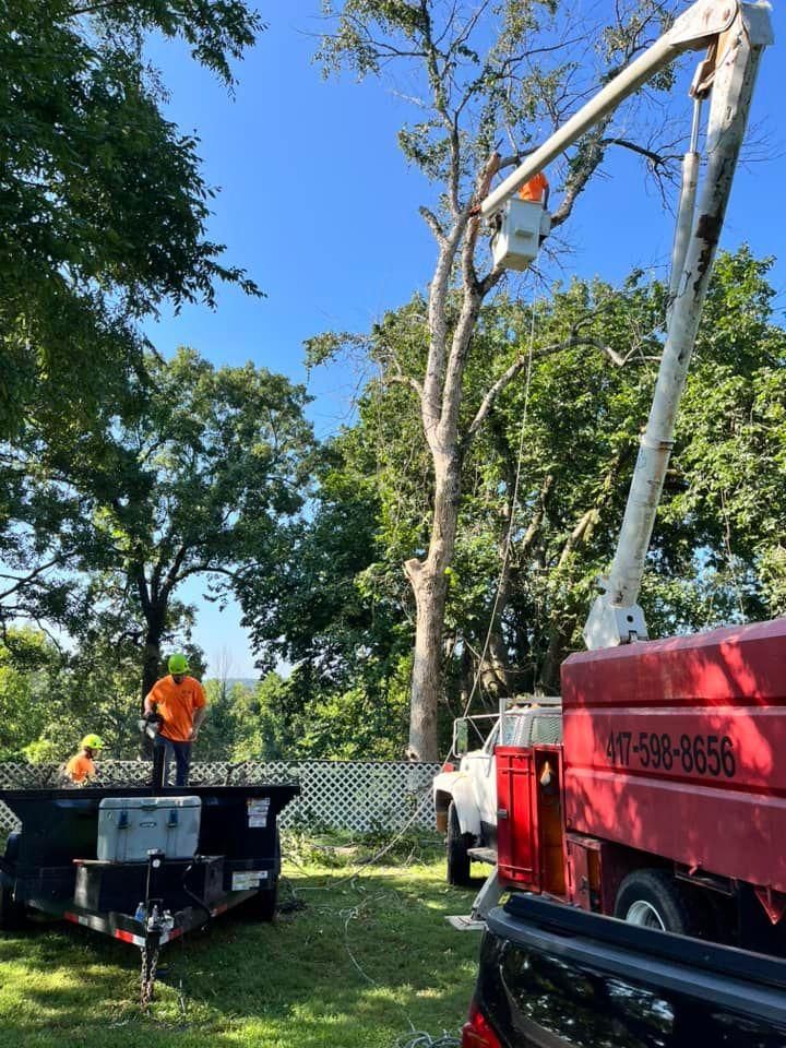  for H n H Tree Service in Taneyville, MO