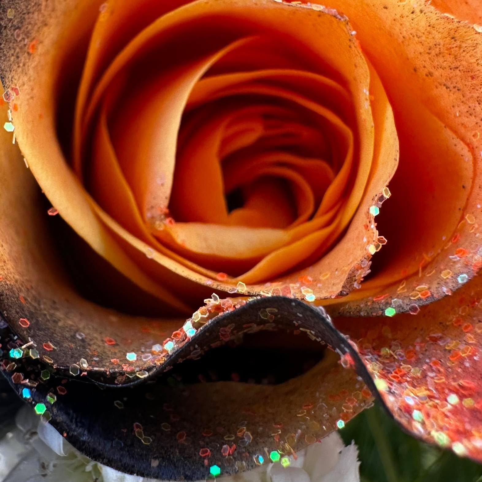  for The Dailey Daisy in Hardwick, VT