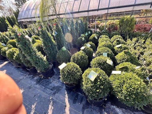  for Sanchez Z. Landscaping in Memphis, TN