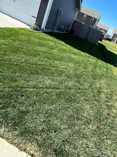  for Plenty Landscaping Solutions in Indianapolis, IN