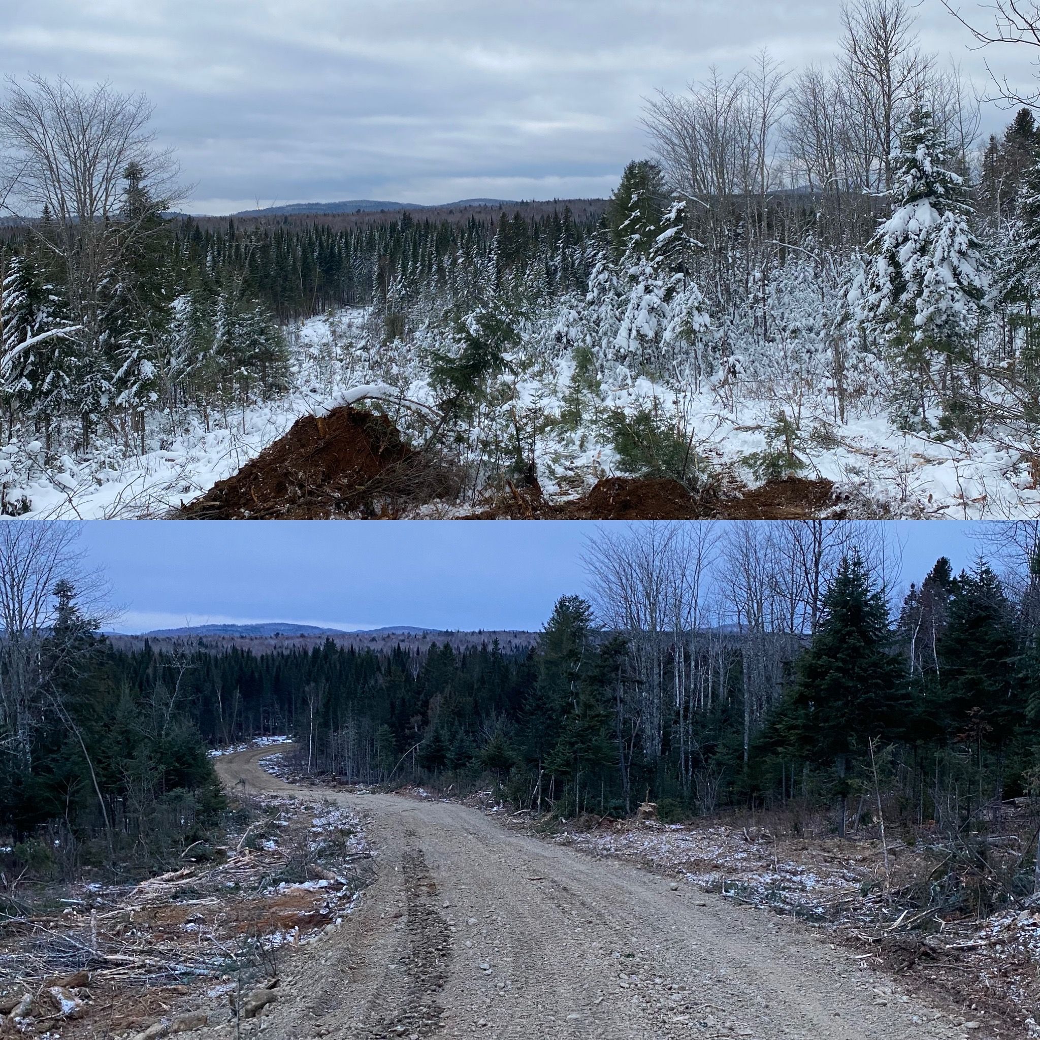  for Gardner Road Company in Winn, ME