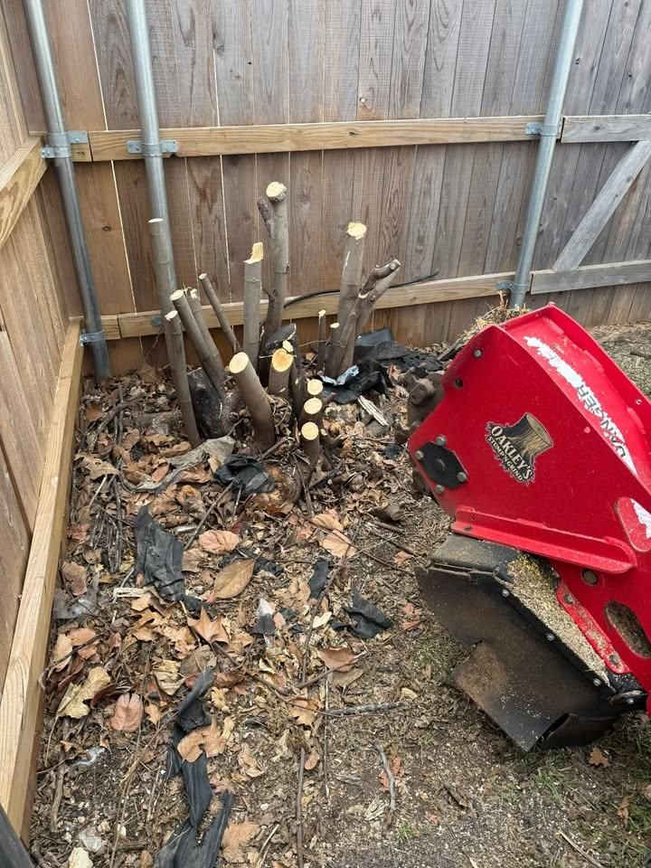 All Photos for Oakley’s Stump ‘N Grind in Leander, TX