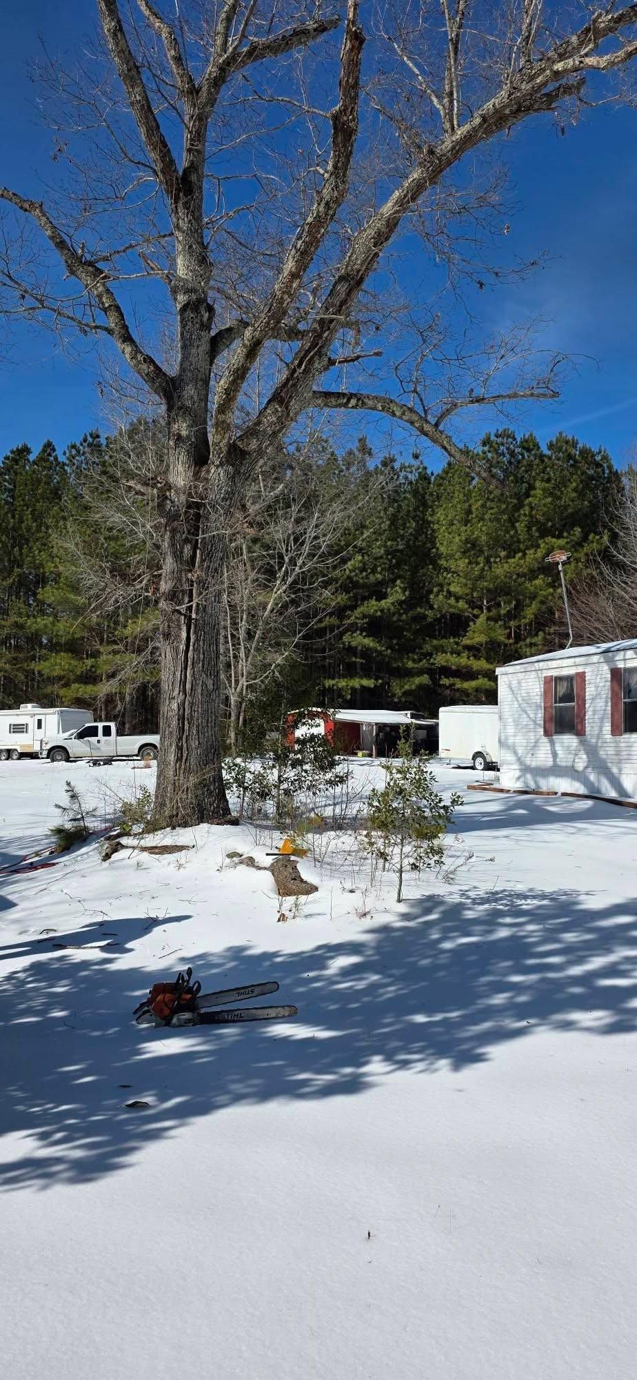  for Hamlett Tree Service LLC in Clover, VA