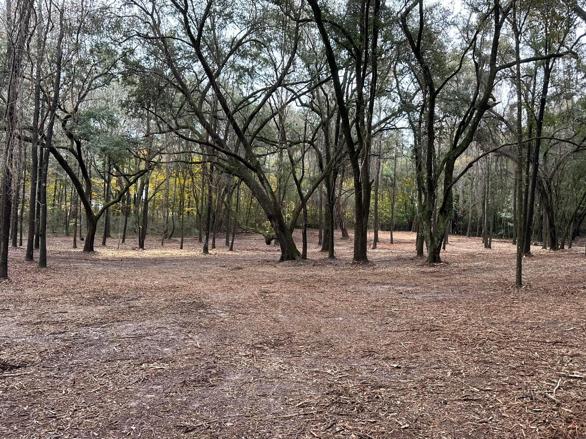 All Photos for White’s Land Maintenance in Milton,, FL