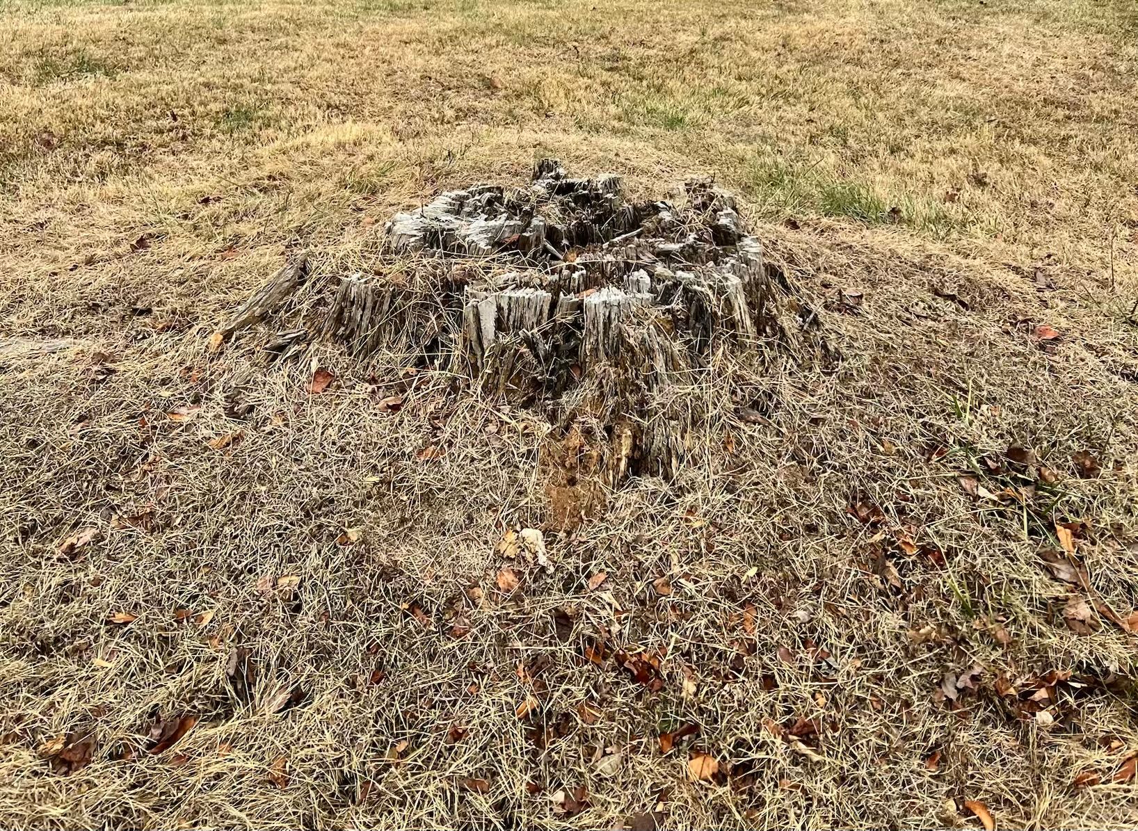  for Valencia’s Lawncare in Charlottesville, VA