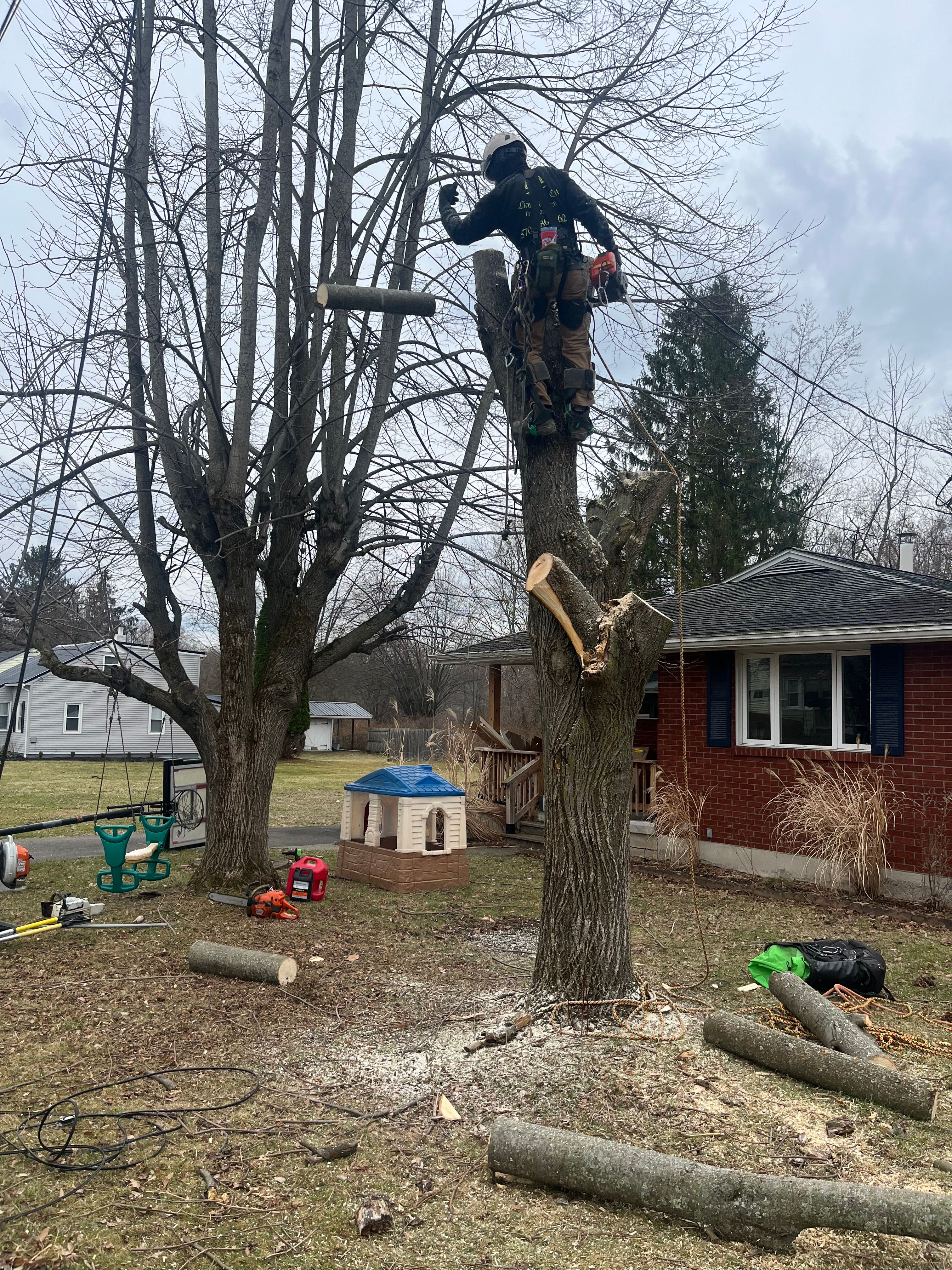 All Photos for Licensed to Cut Tree Service in Athens, PA