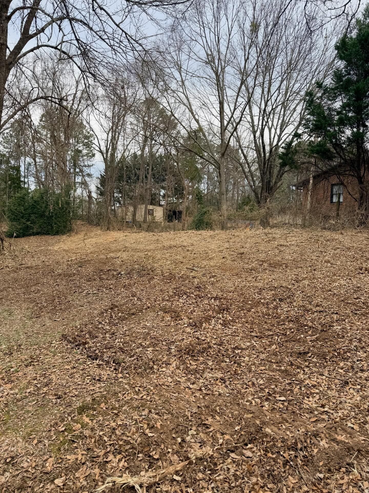  for T Crane Grading LLC in Clarkesville, GA