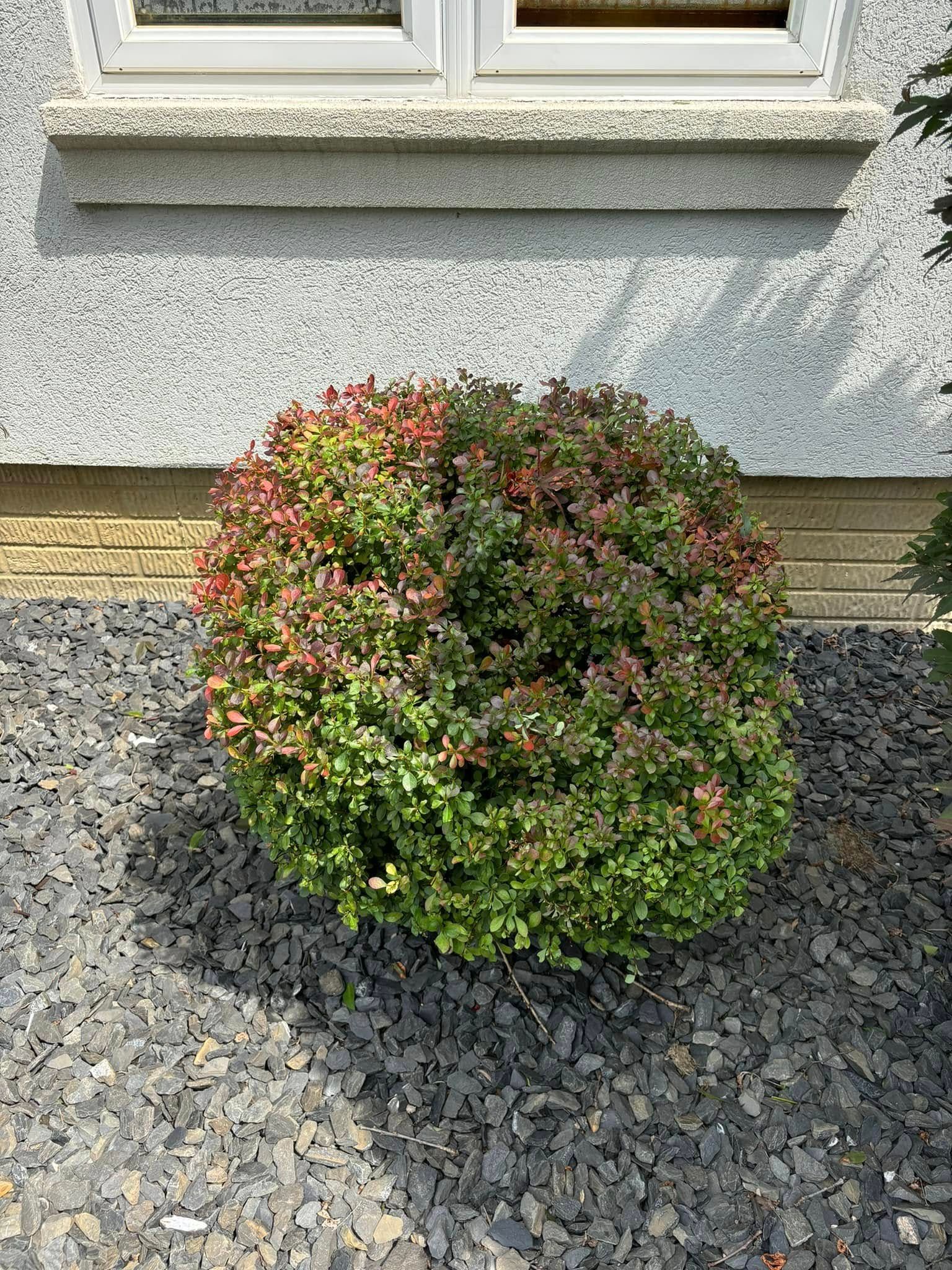  for Lopez Landscaping & Snow Removal LLC in Conneaut, OH