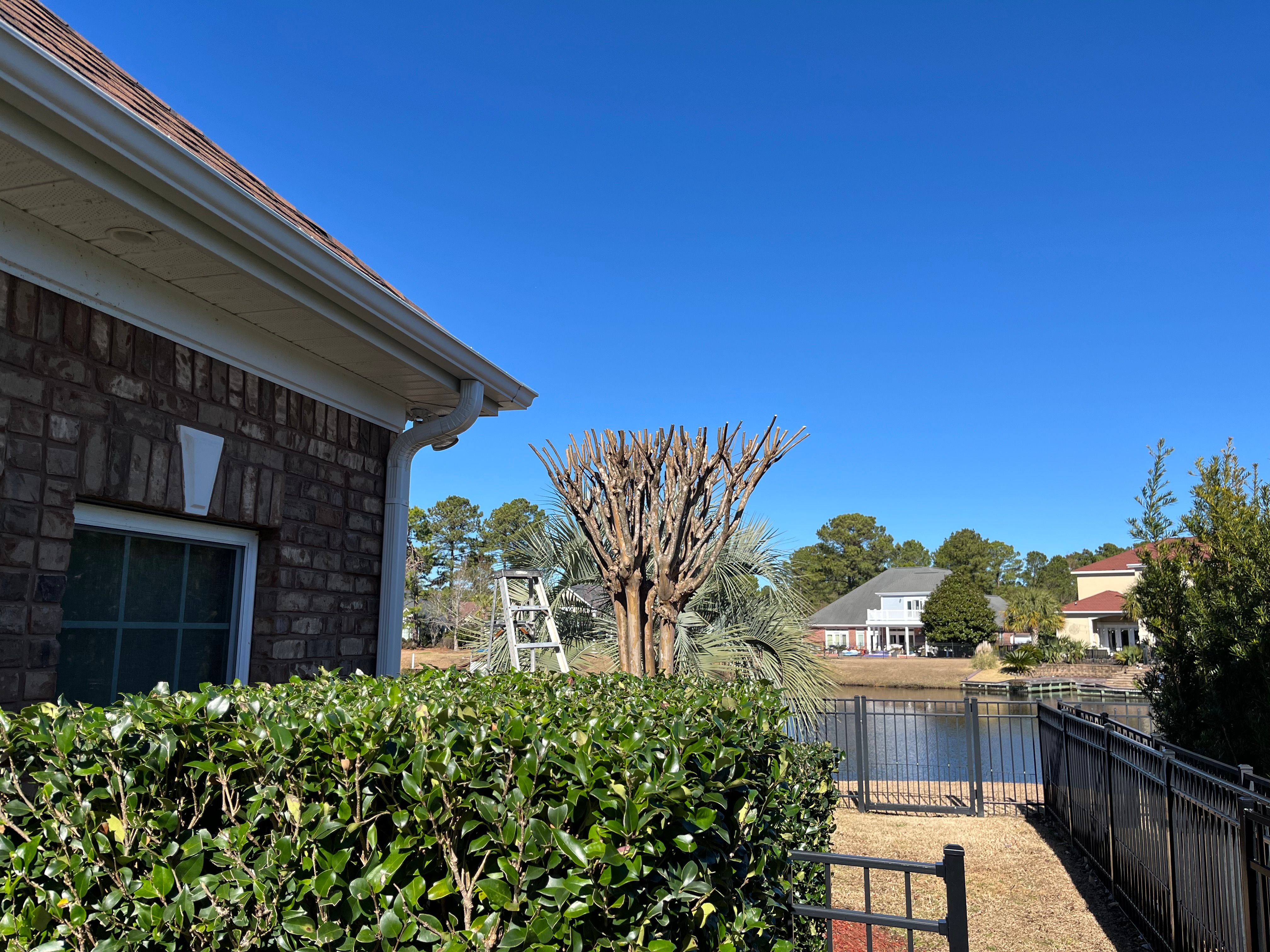  for New Creation Landscaping in Myrtle Beach, SC