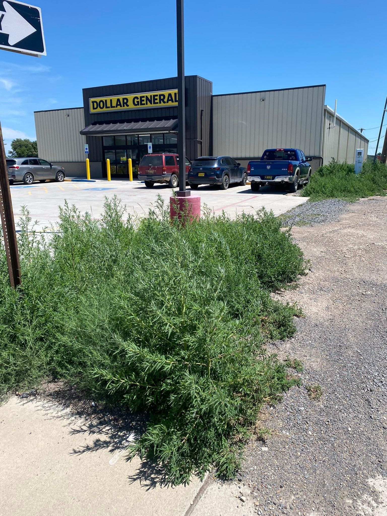 All Photos for Raton Property Maintenance in Raton, NM