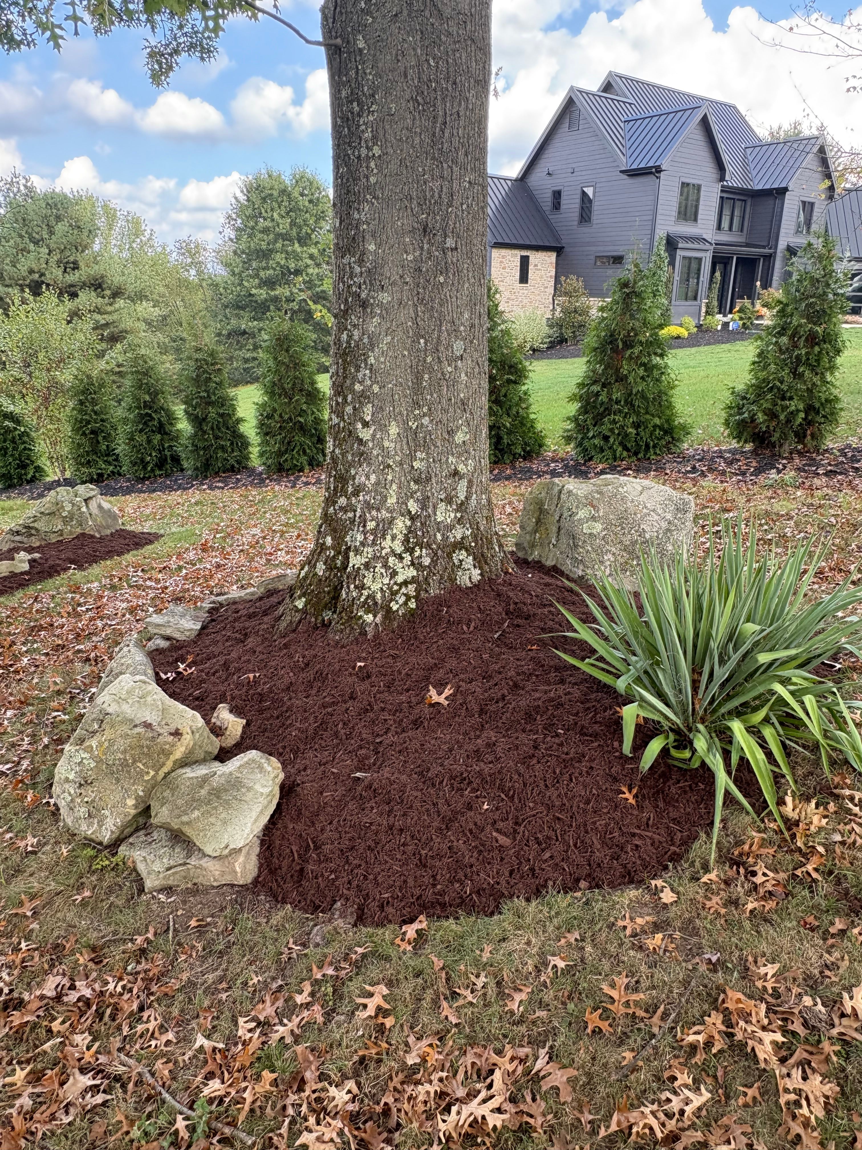  for Cam Yardz in Washington, PA