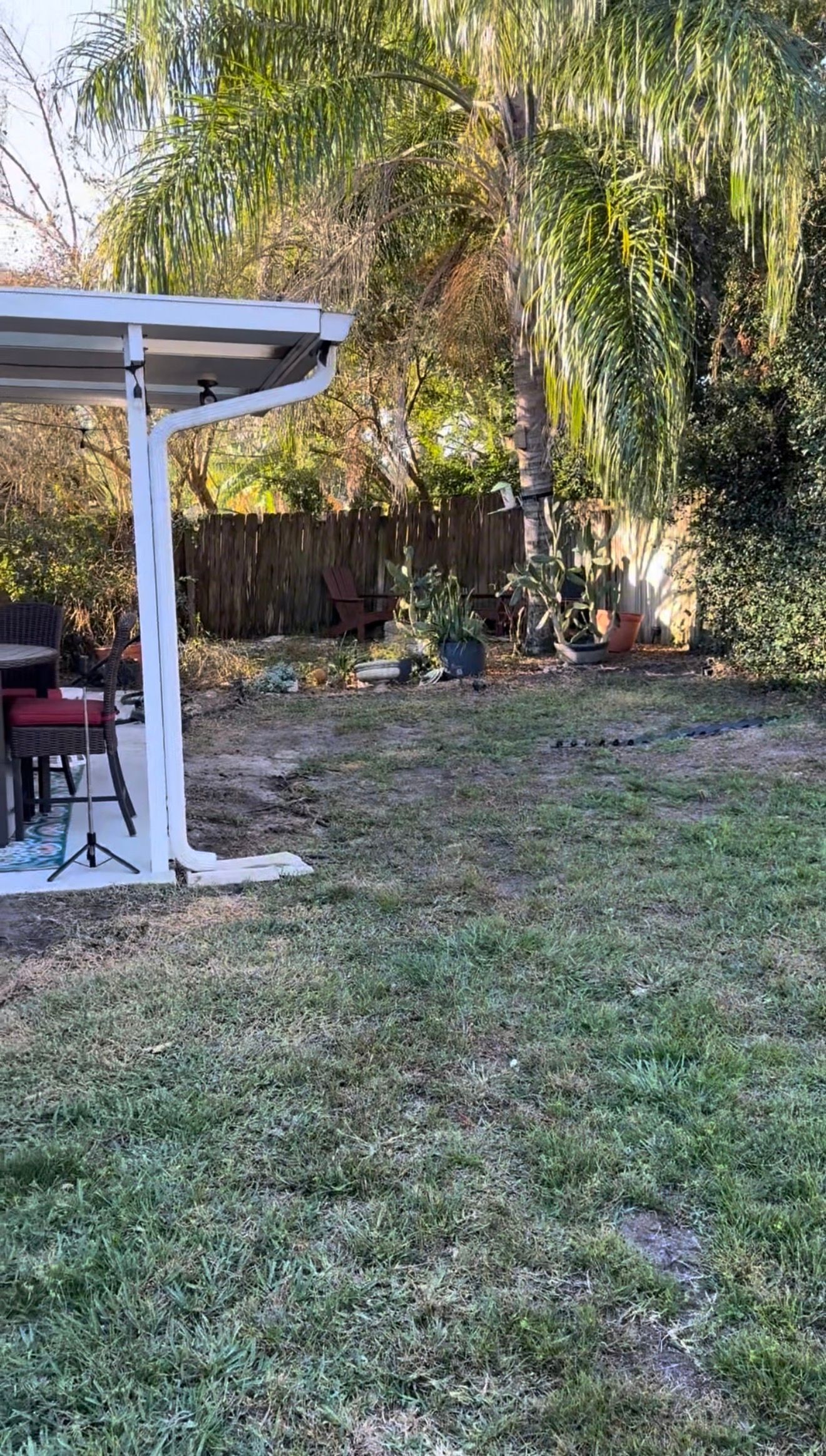  for Whole 9 Yards Services in Green Cove Springs, FL