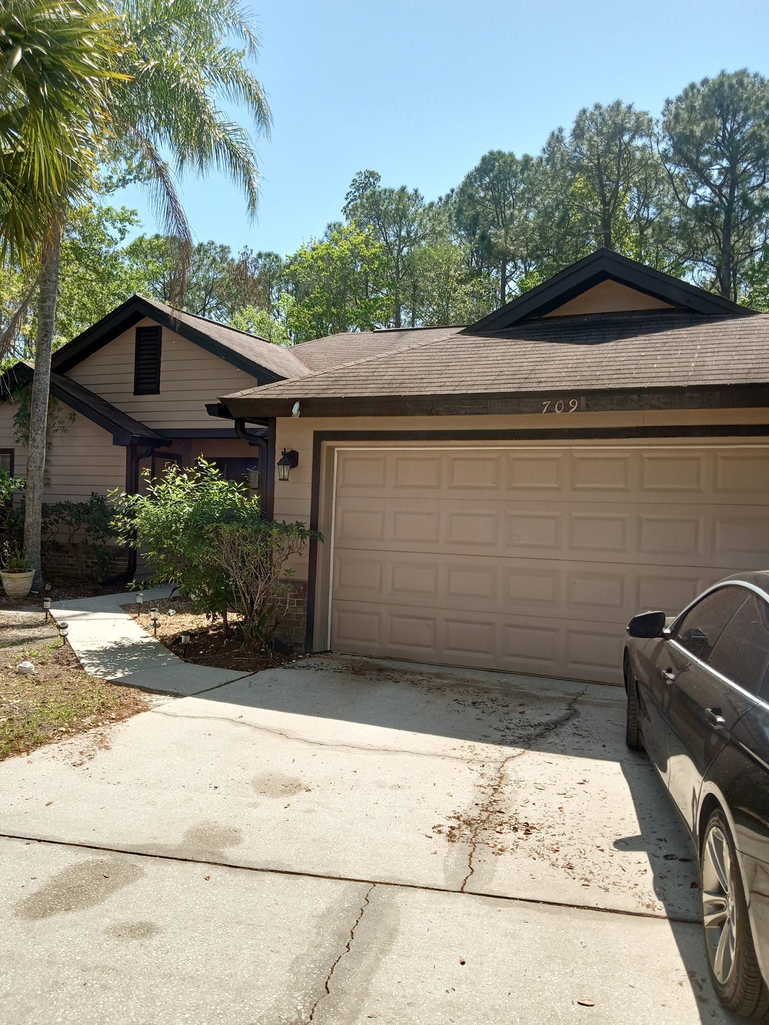  for A Southern Style Tree Service in Orlando, FL