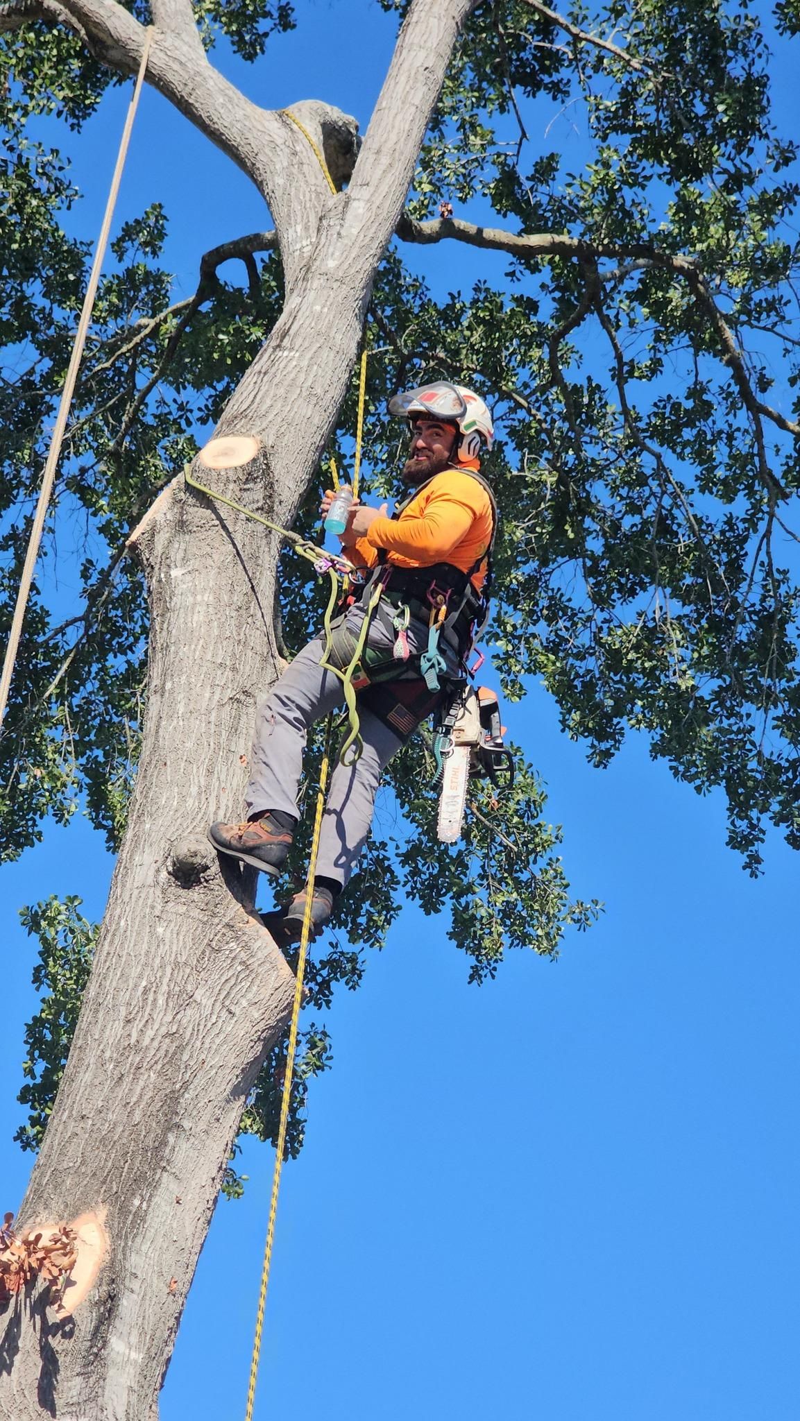  for Servin's Tree Care  in Houston, TX