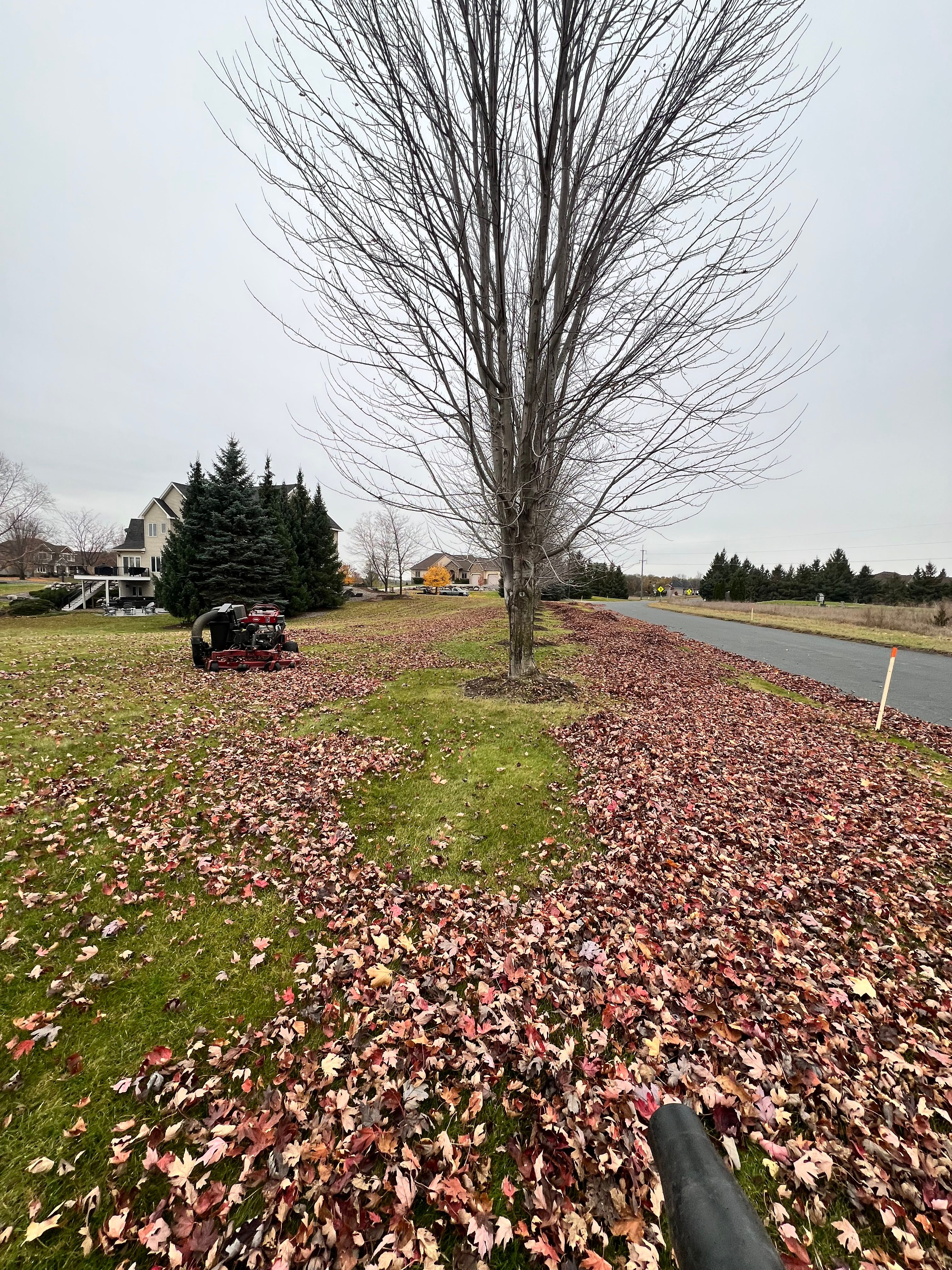  for Luke's Lawn Care and Landscape in Andover, MN