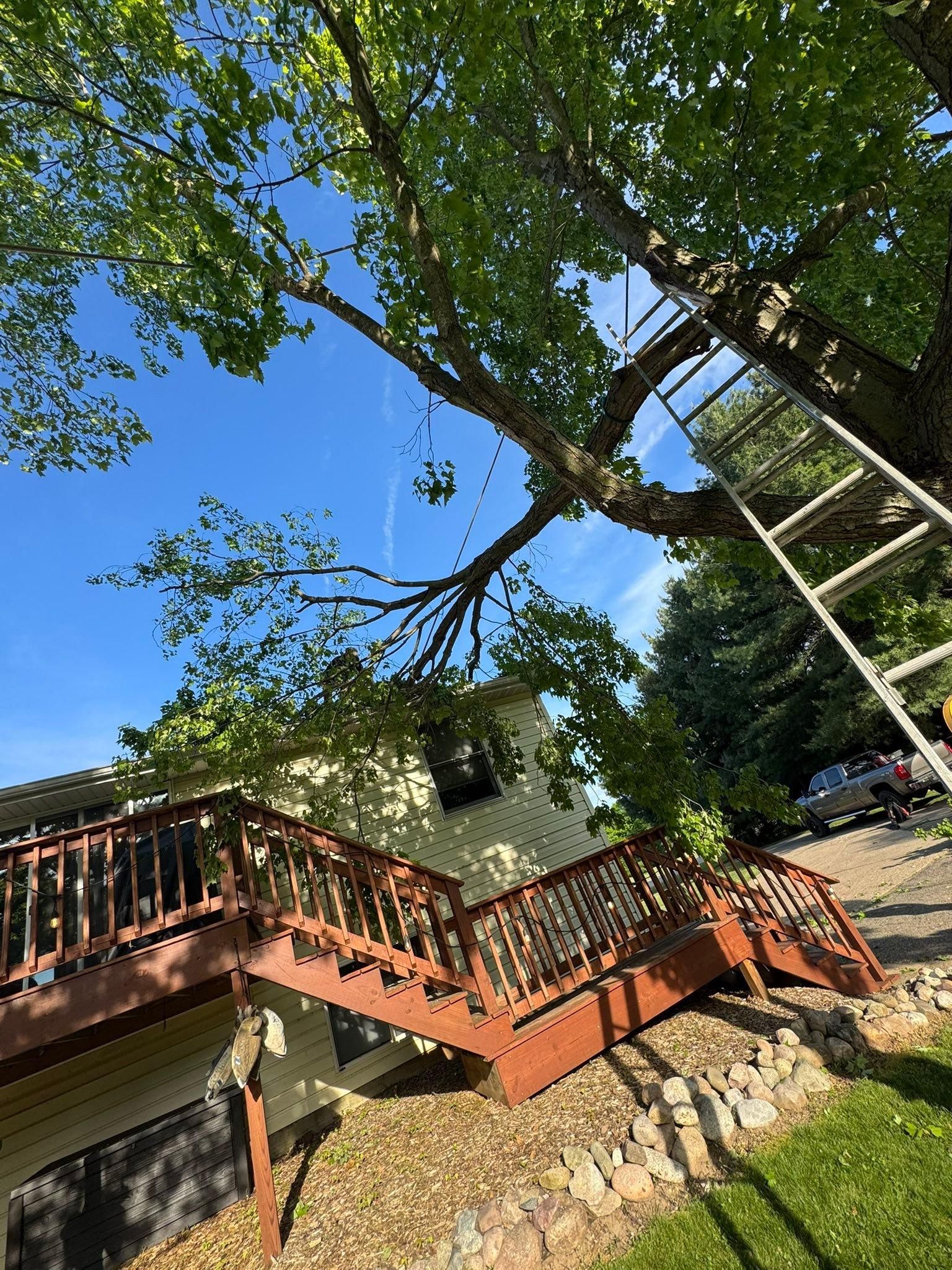  for Branching Out Tree Service in Hastings, MI