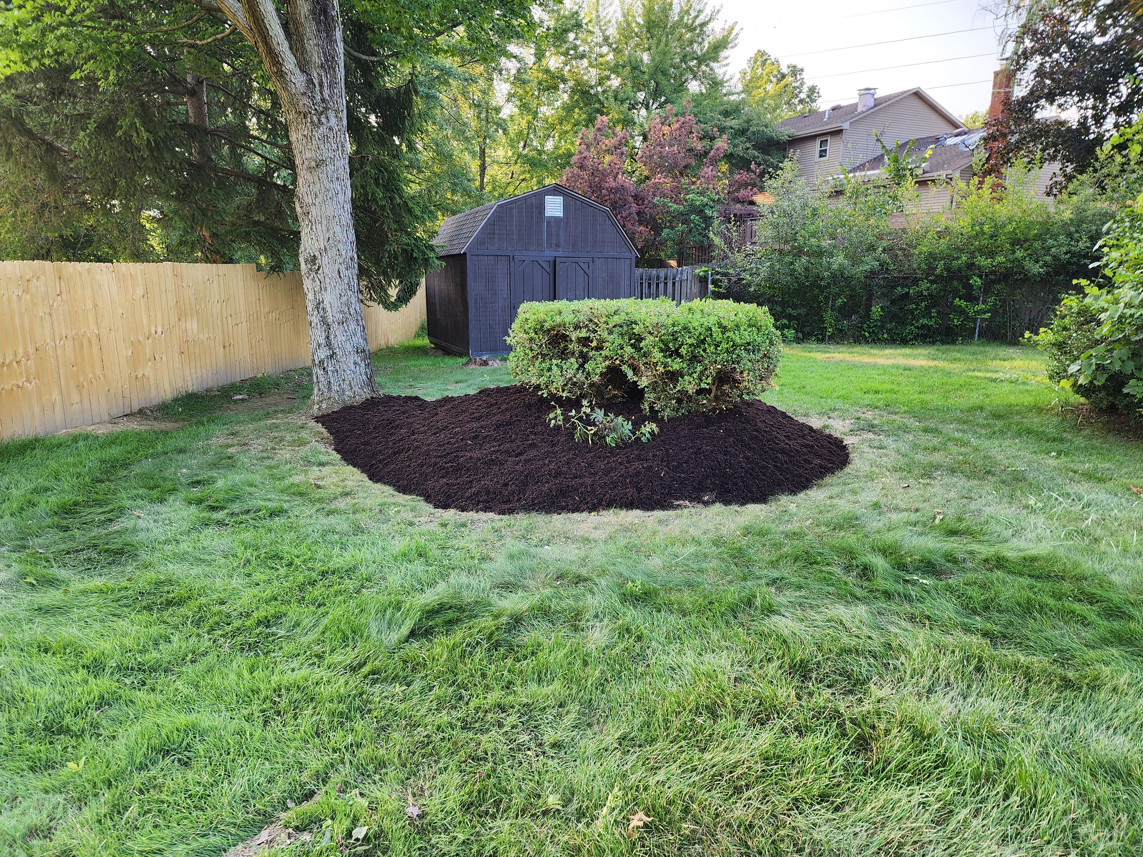  for P & M LANDSCAPING LLC in Trumbull County, Ohio
