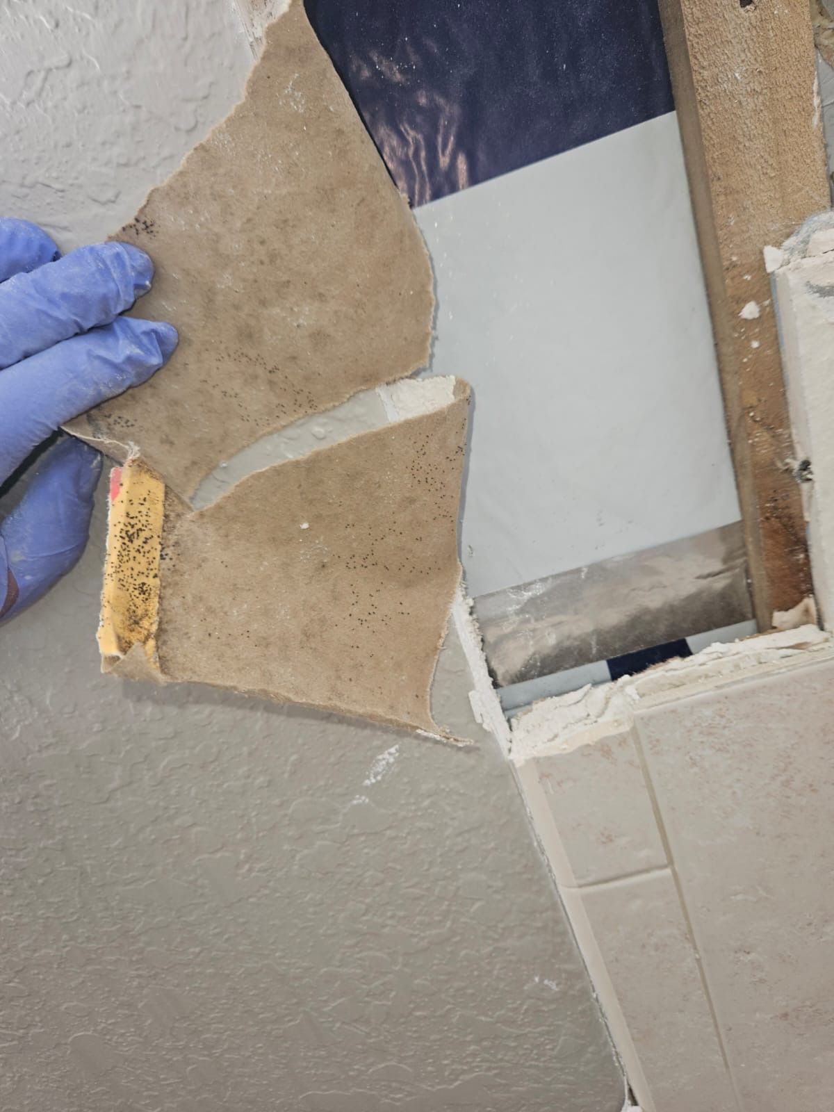  for N&D Restoration Services When Disaster Strikes, We Come In in Cape Coral,  FL