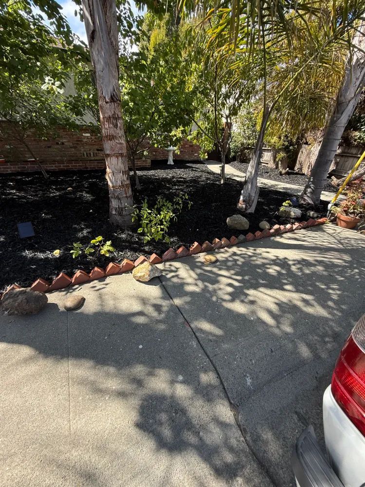  for CBA Landscaping in Hayward, CA