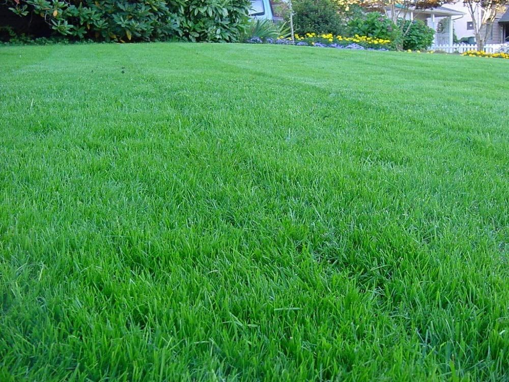  for Jacks Lawn & Landscape LLC  in Hastings, NE