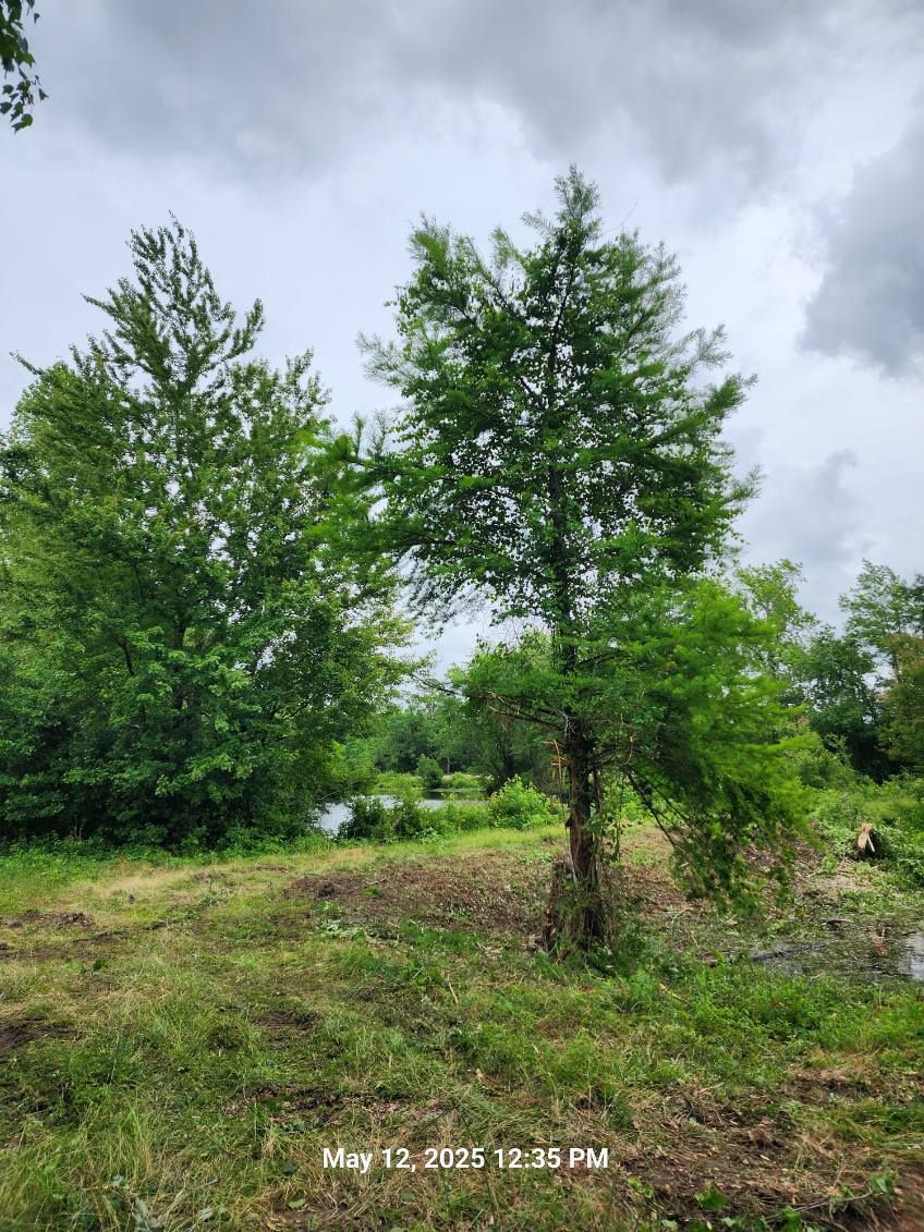 All Photos for TJ Farm and Land Management in Loris, SC
