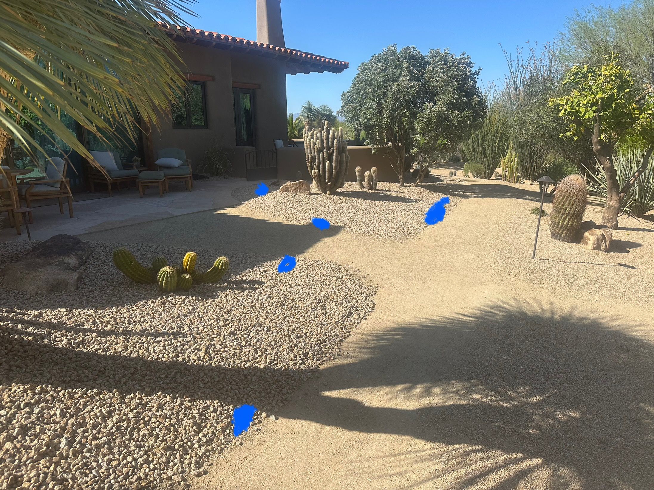  for Arizona Backyard Synergy in Phoenix, AZ