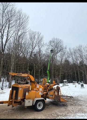 for Clifford’s Quality Tree Care & Landscaping in Enfield, NH