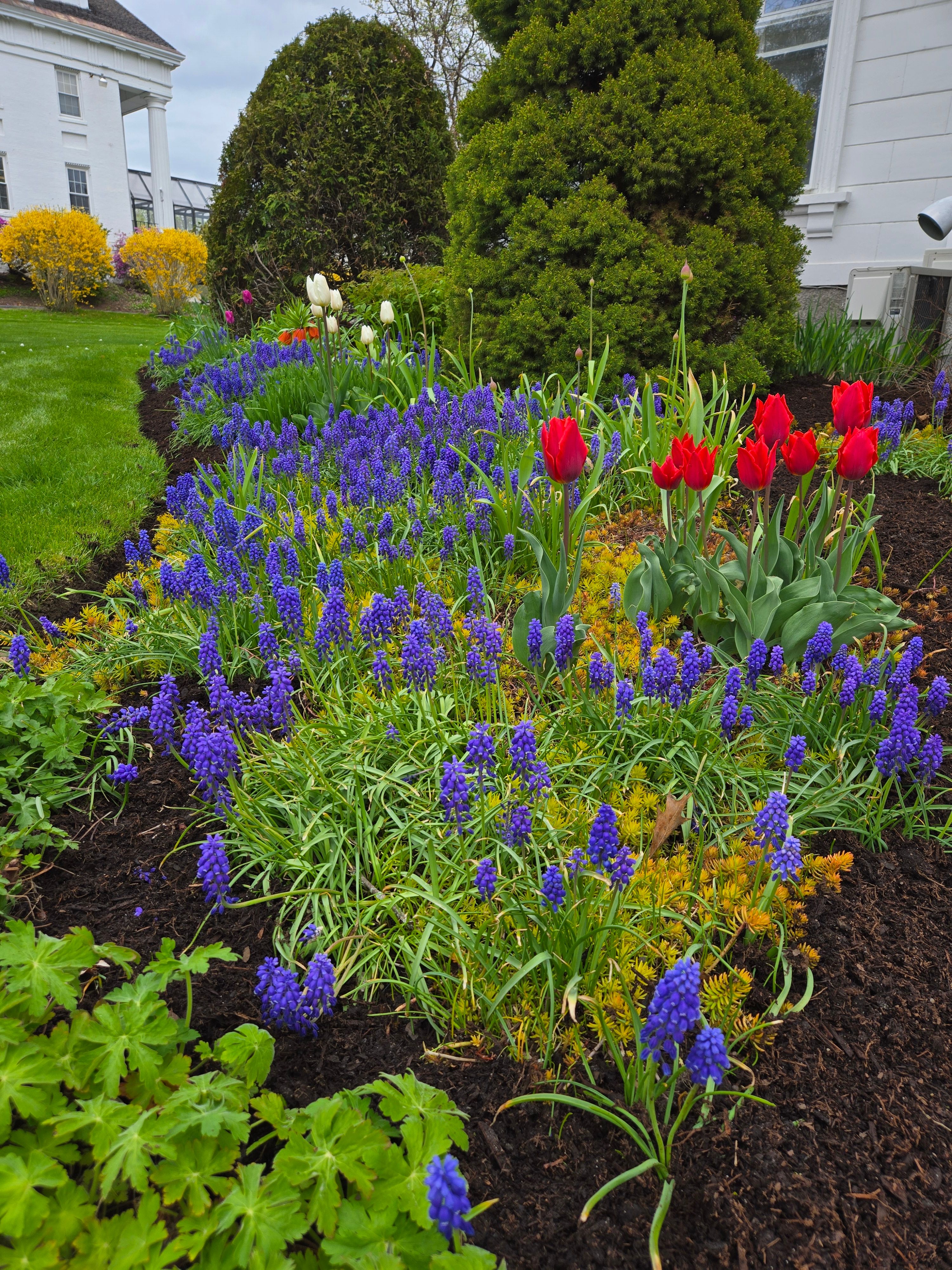 All Photos for Casey's Lawn Service LLC in Orono, ME