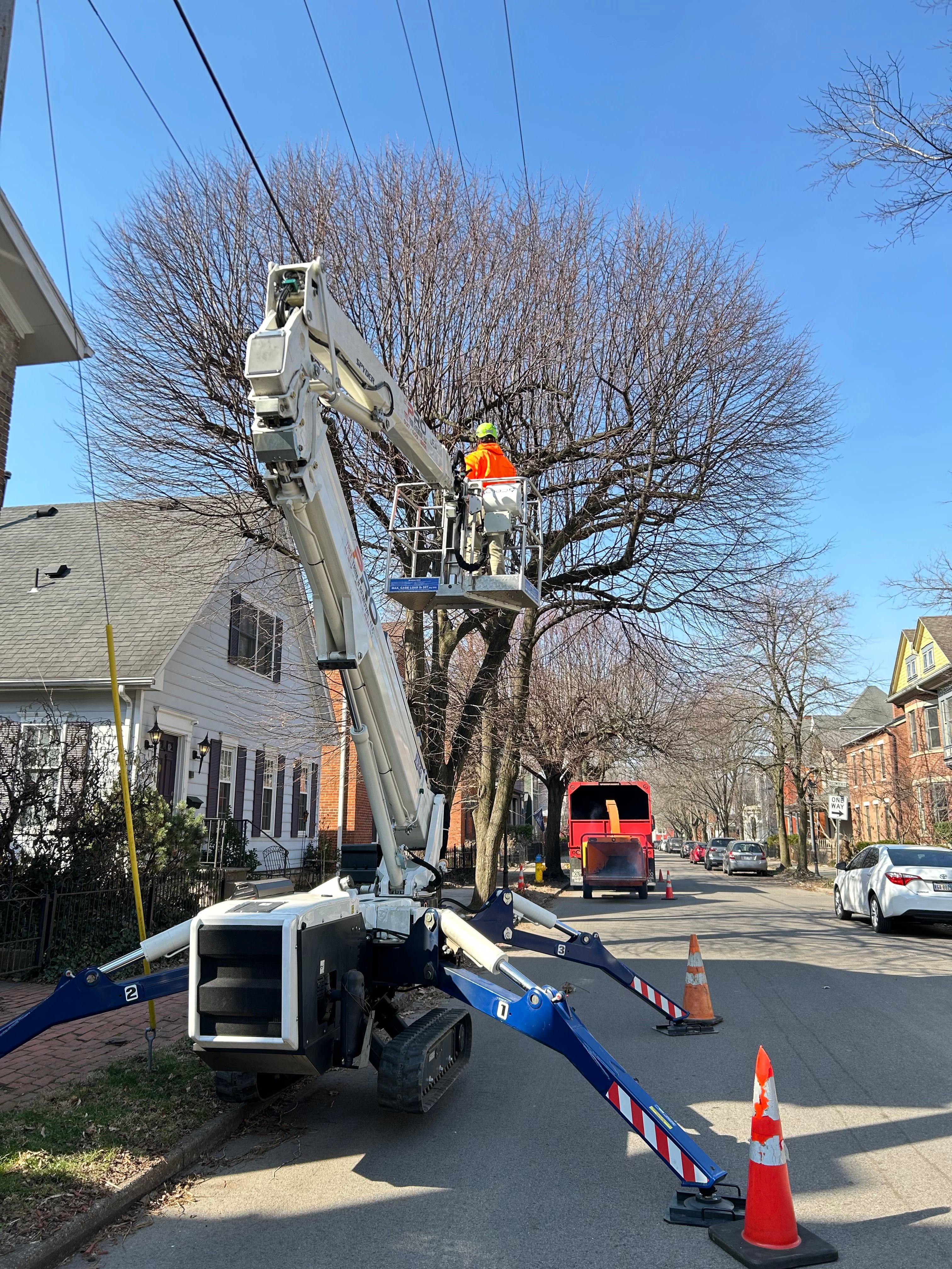 All Photos for Pro Tree Trim & Removal, Llc in Dayton, OH
