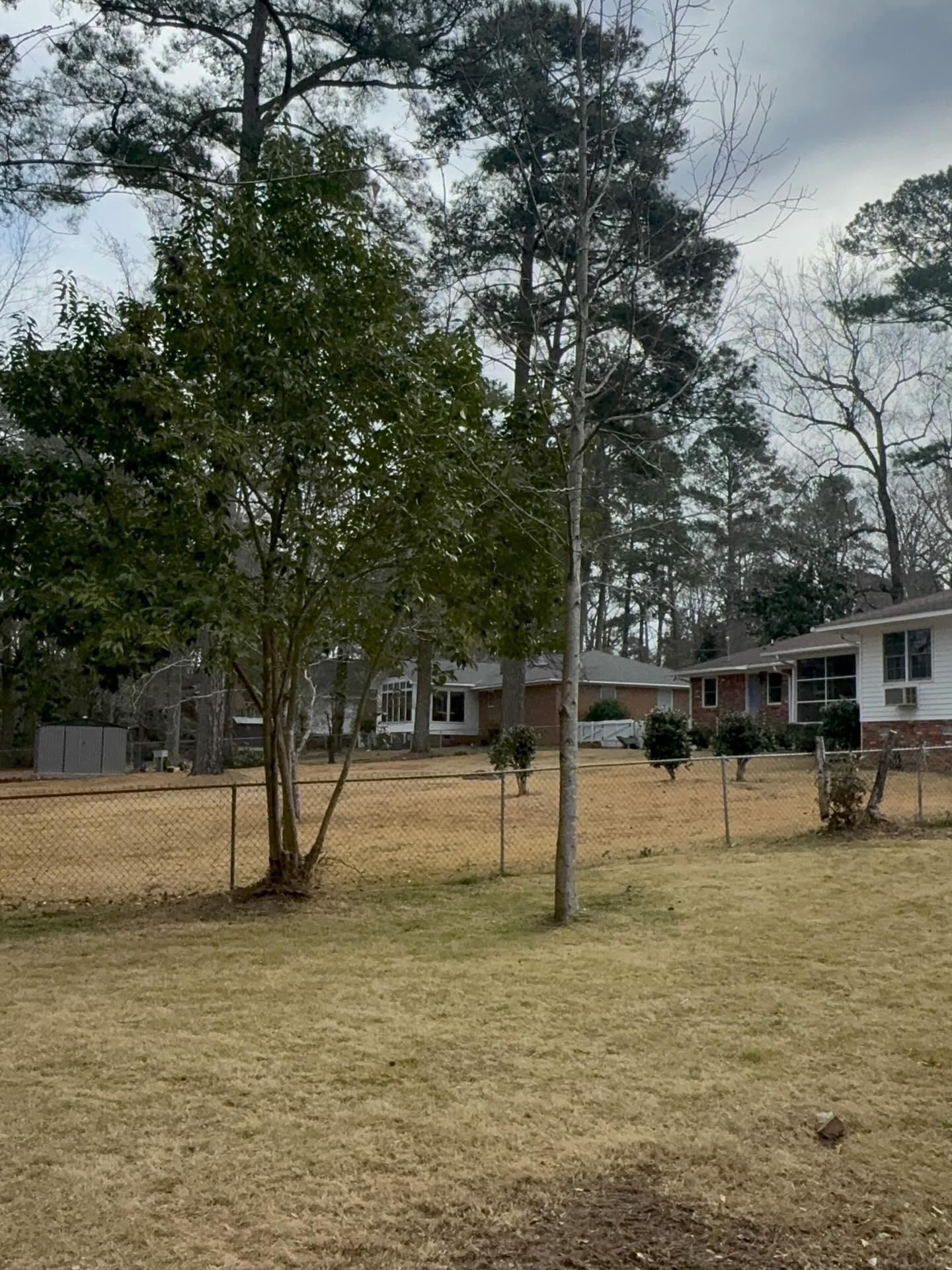  for Shang's Landscaping Service in Columbia, South Carolina